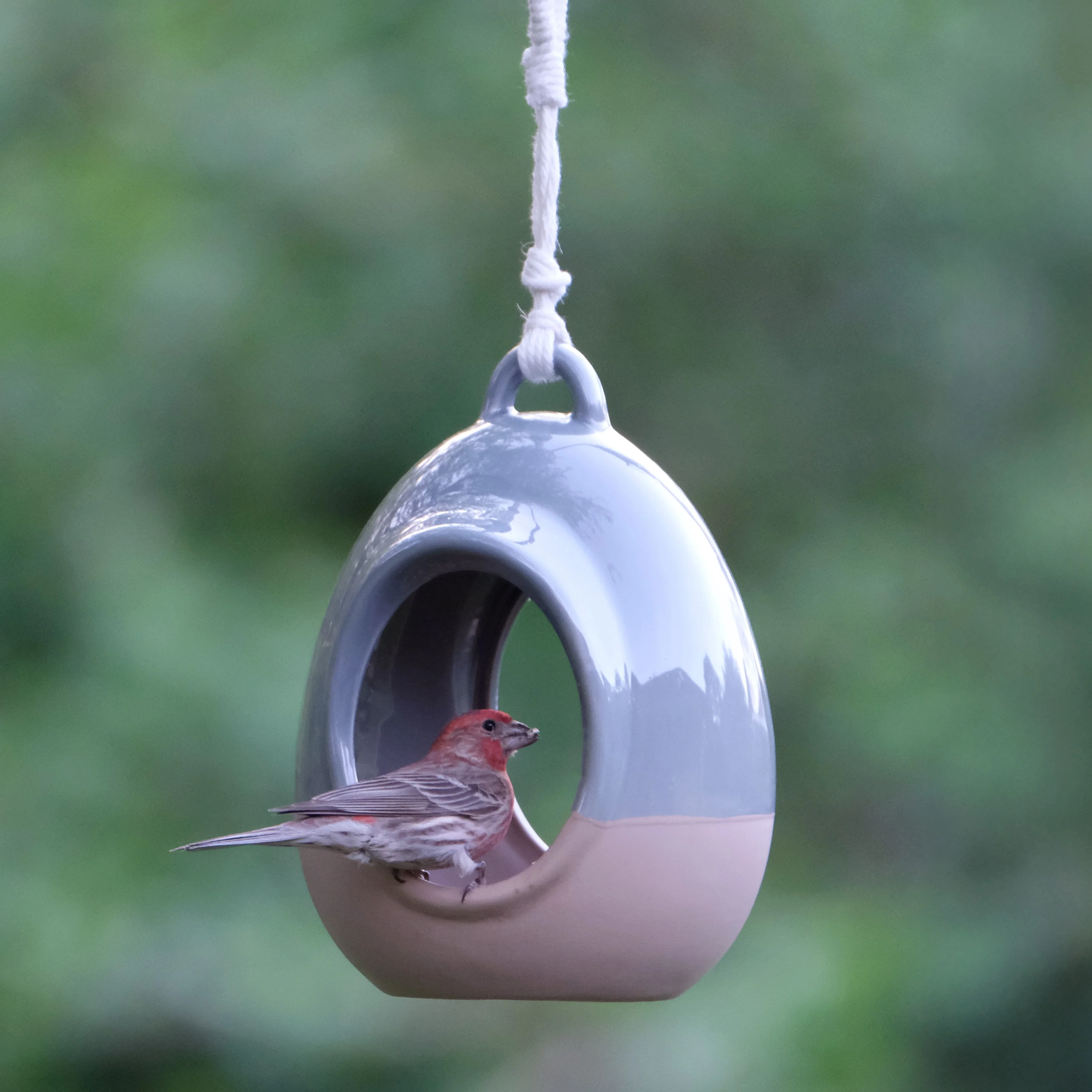 Planter & Perch Ceramic Fly Through Feeder and Planter - Image 8