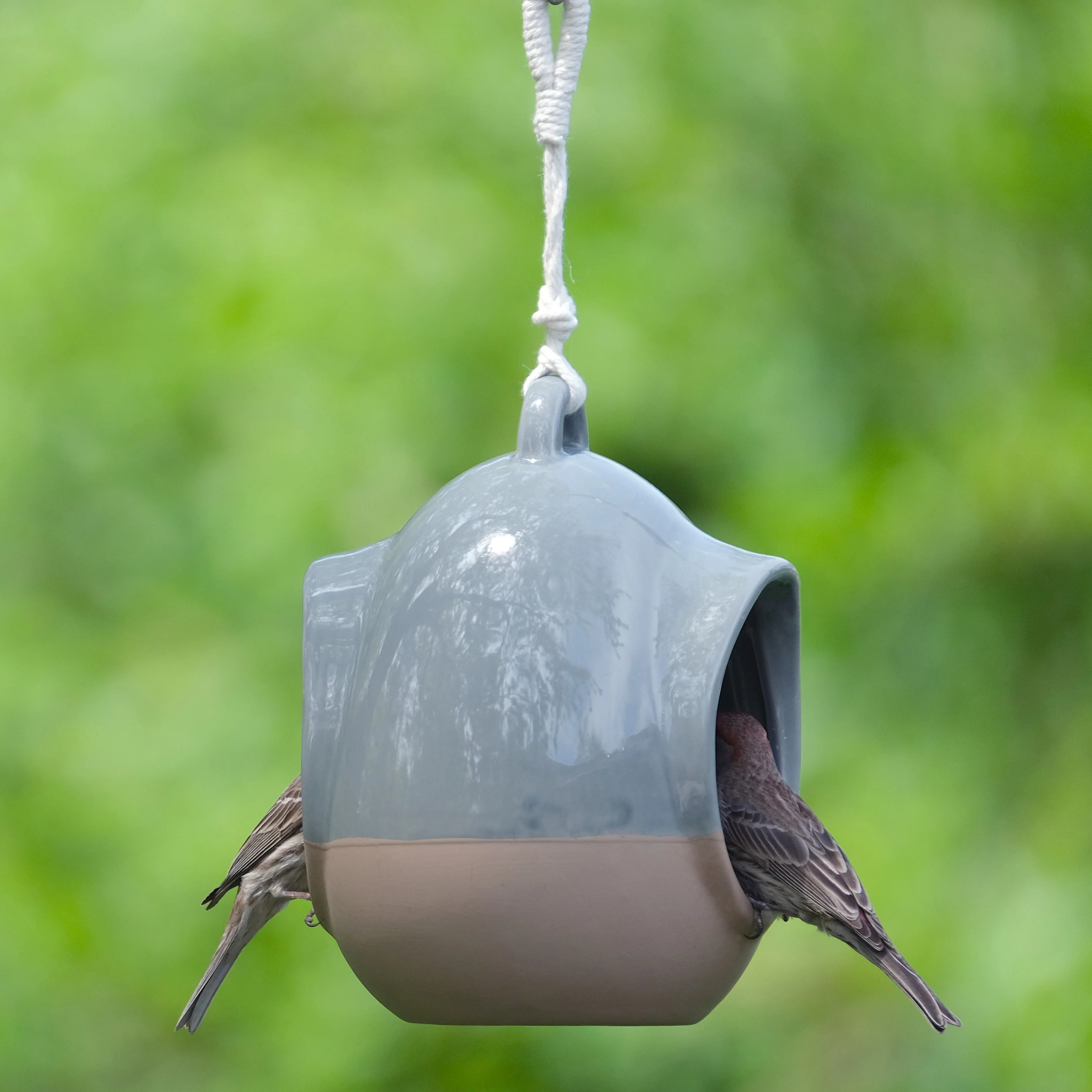 Planter & Perch Ceramic Fly Through Feeder and Planter - Image 9