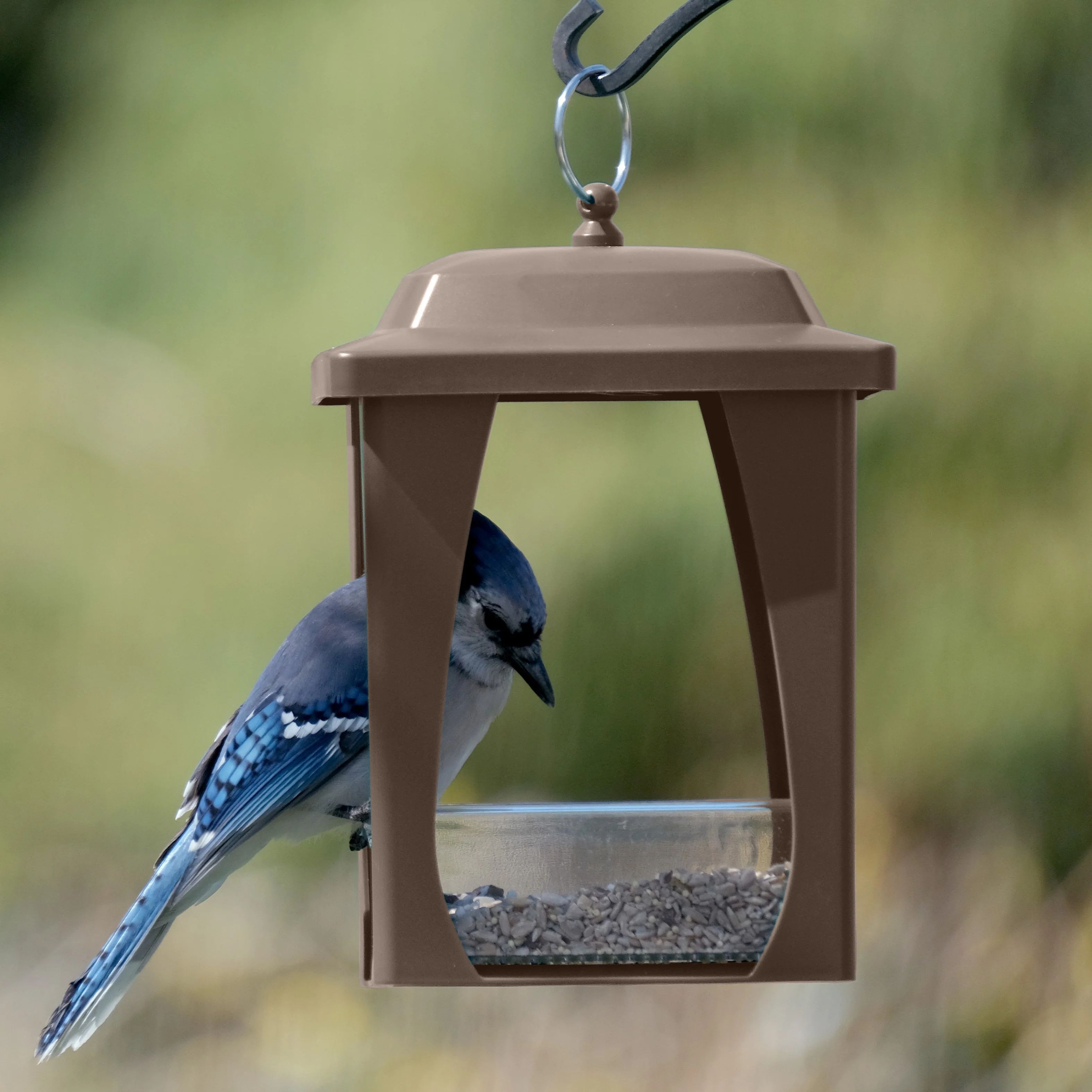 Dine-in Hanging Plastic Fly Through Bird Feeder - Tan