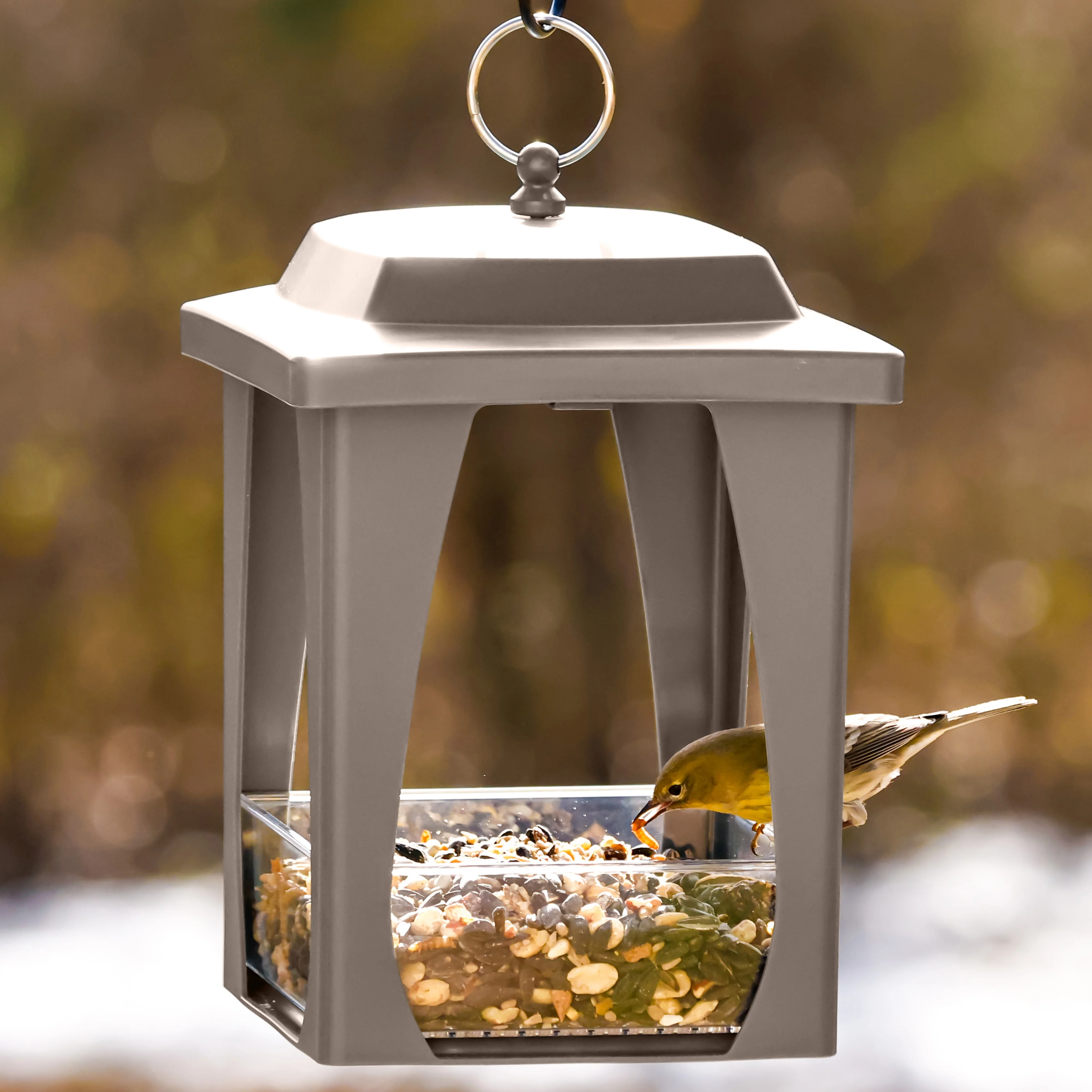 Dine-in Hanging Plastic Fly Through Bird Feeder - Tan - Image 10