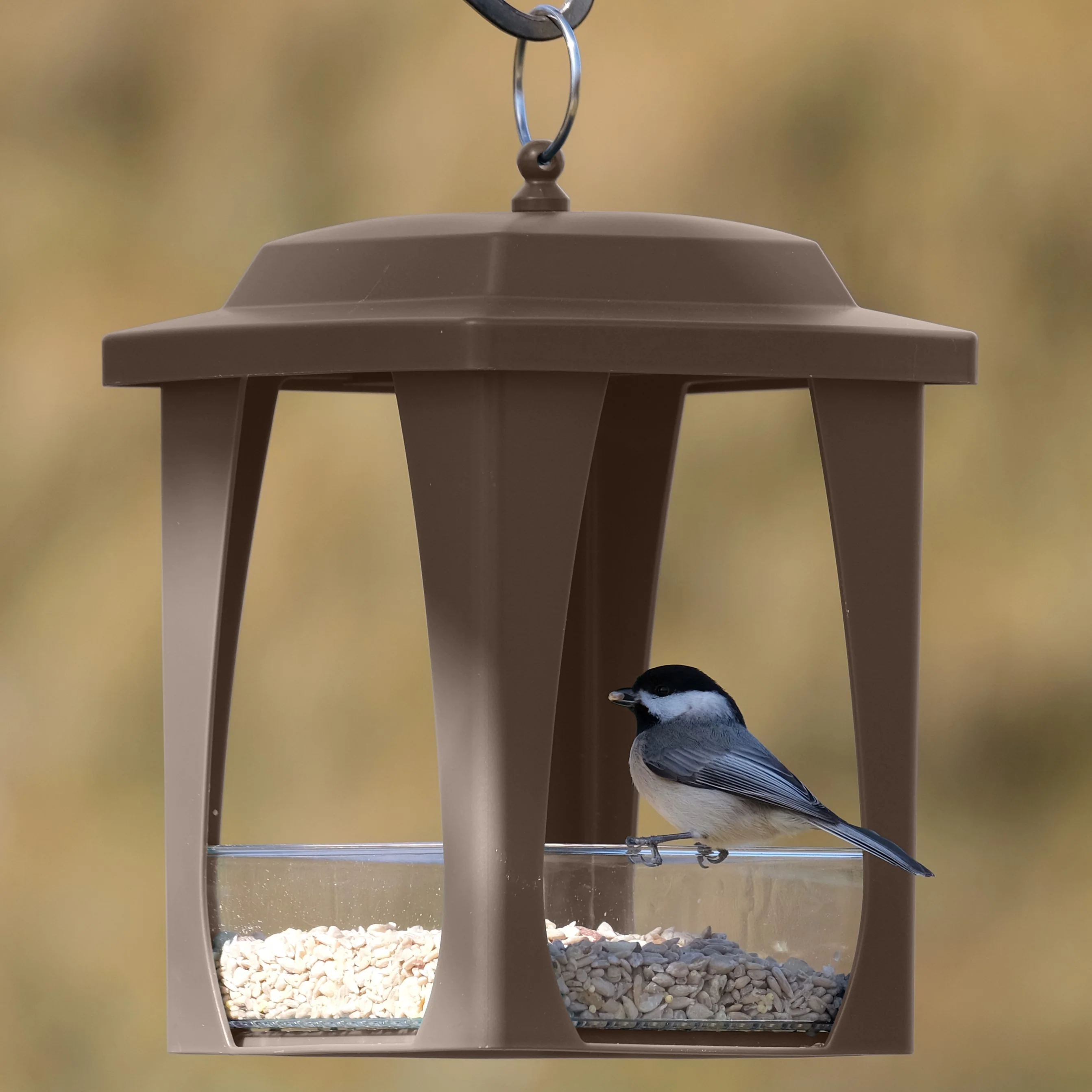 Dine-in Hanging Plastic Fly Through Bird Feeder - Tan - Image 8
