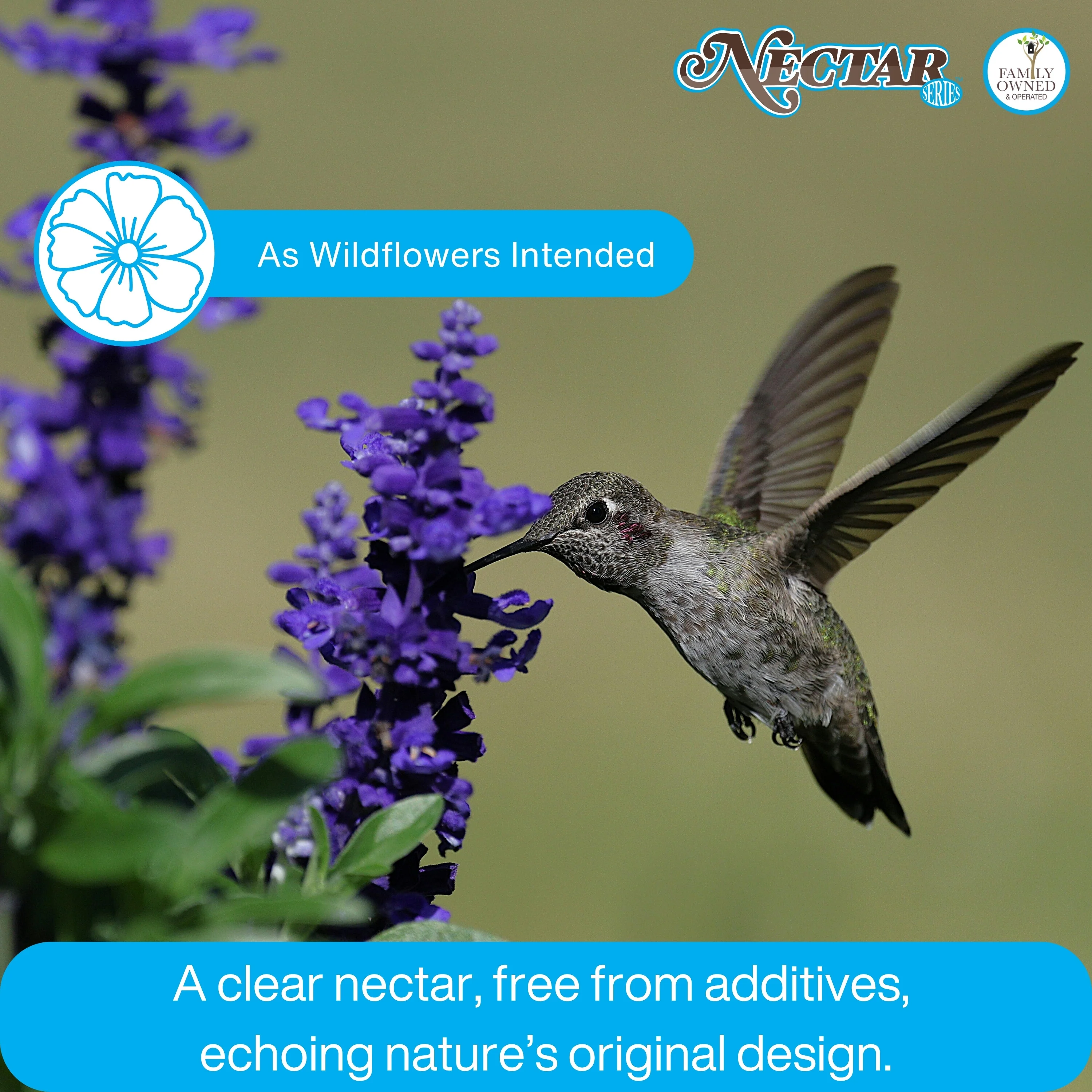 Nectar Series™ Clear Hummingbird Nectar Powder Concentrate, 2 lb - Image 5