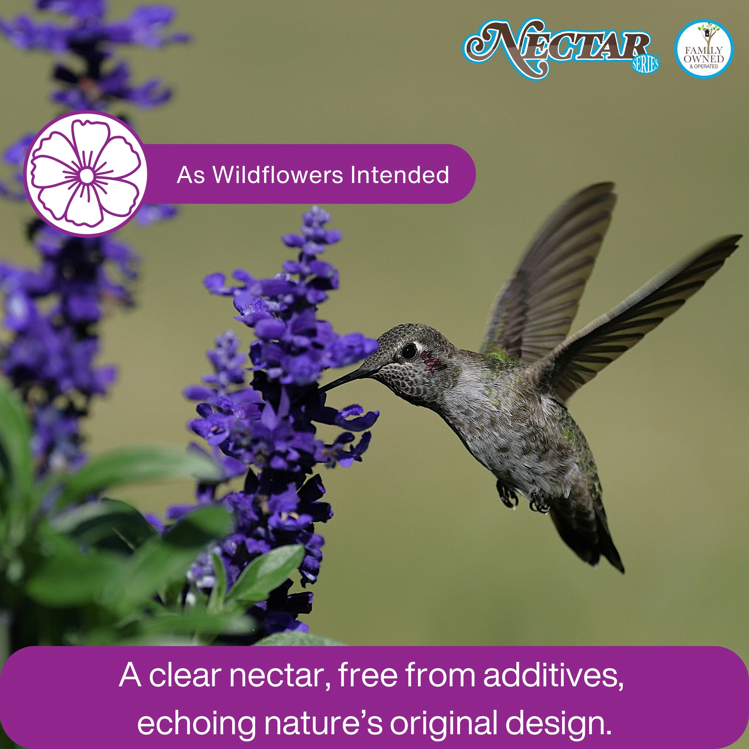 Nectar Series™ Ready-to-Use Clear Hummingbird Nectar, 8.5 oz - Image 5