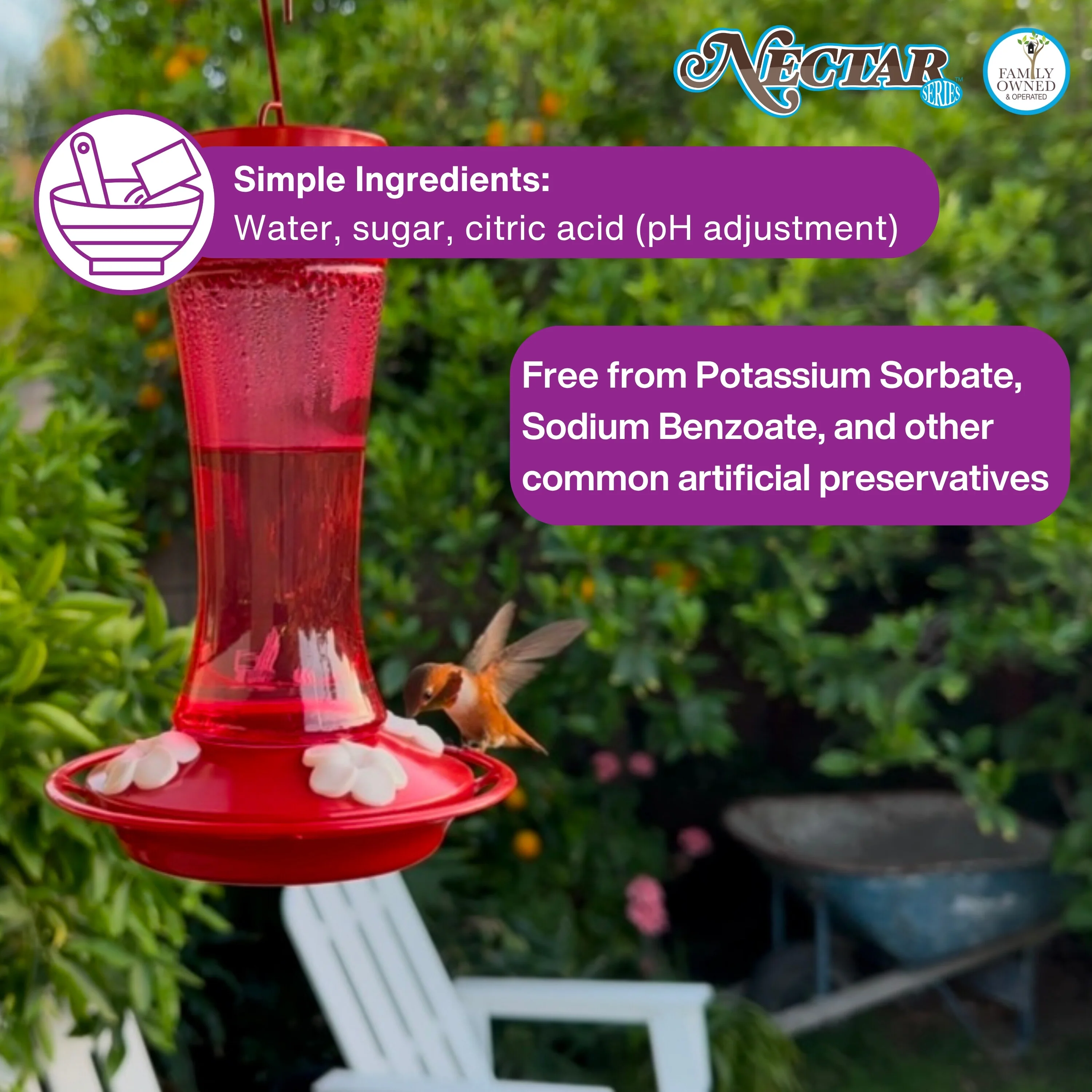 Nectar Series™ Ready-to-Use Clear Hummingbird Nectar, 8.5 oz - Image 6