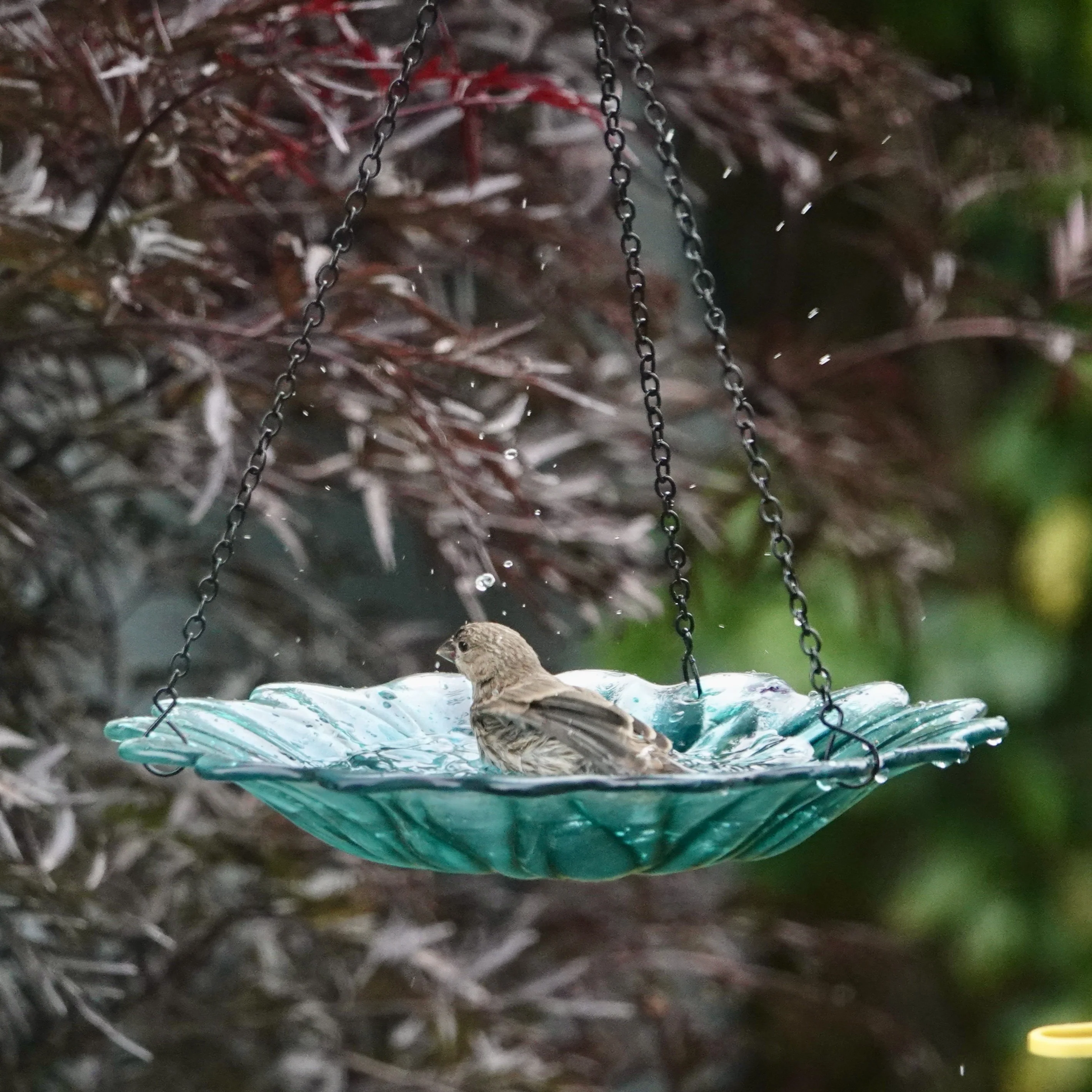 11” Recycled Glass Hanging Combination Bird Feeder and Bath - Turquoise Dahlia