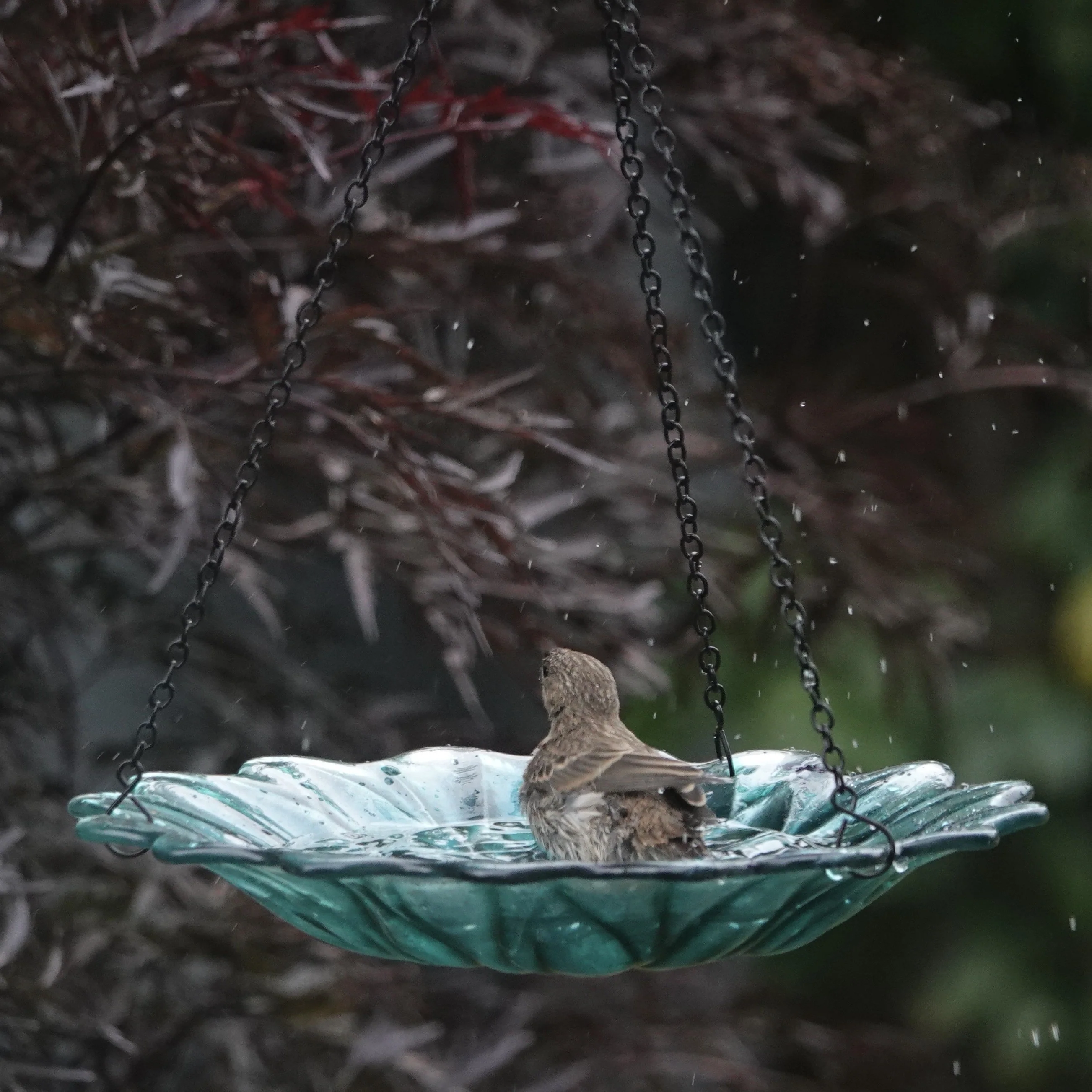 11” Recycled Glass Hanging Combination Bird Feeder and Bath - Turquoise Dahlia - Image 12