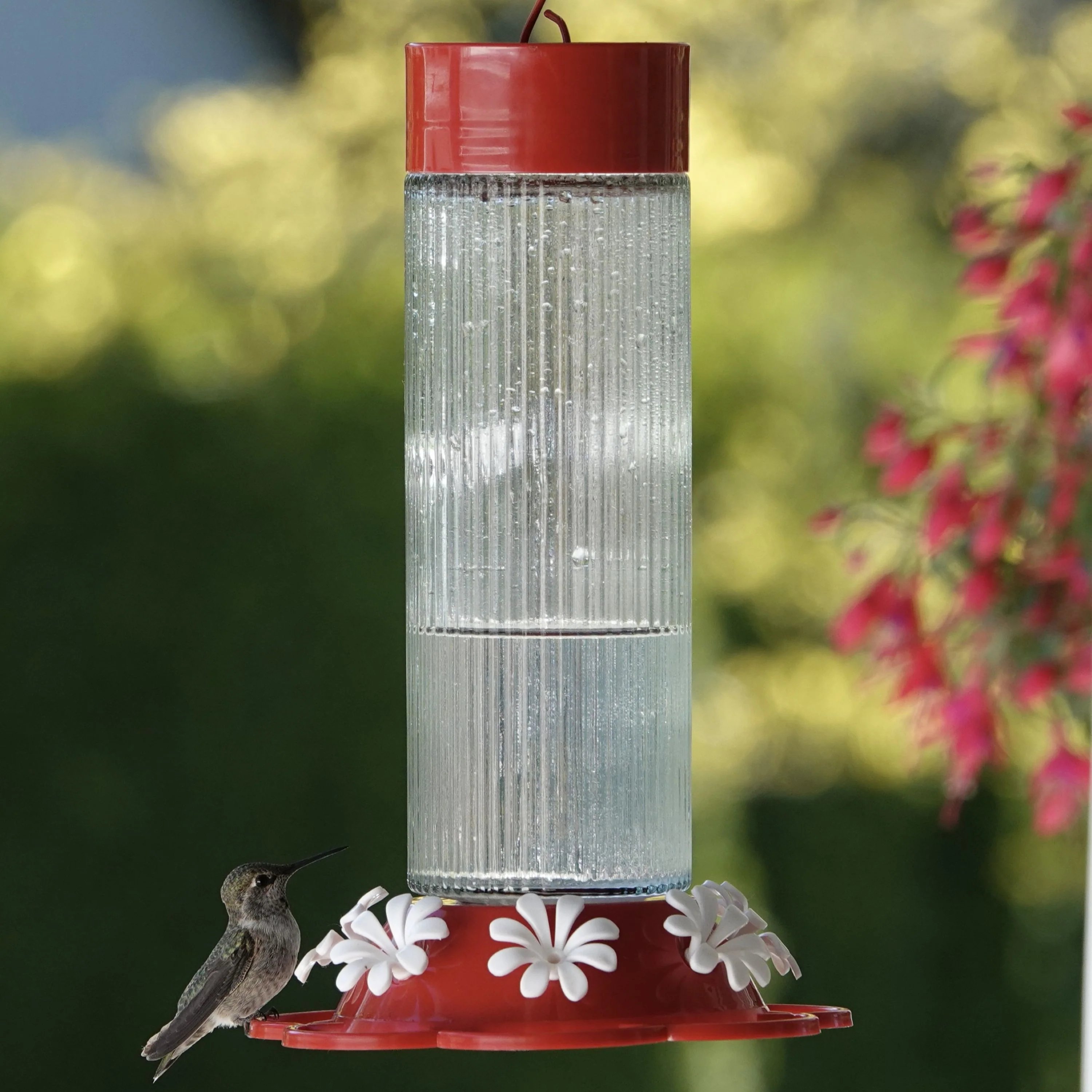 Ribbed Rose Glass Gravity Hummingbird Feeder