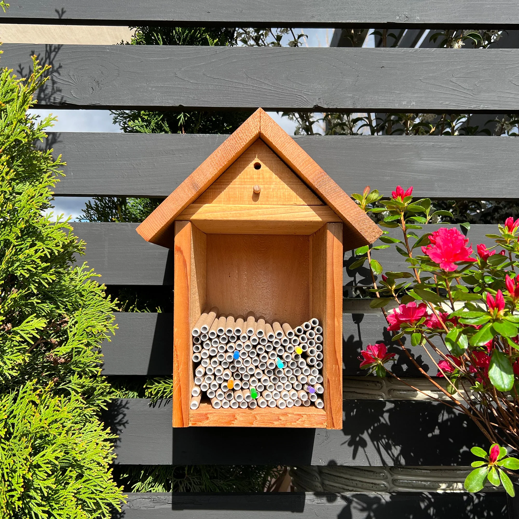 Spring Cardboard BeeTubes and Inserts for Mason Bees - 8mm (Sold Out) - Image 2