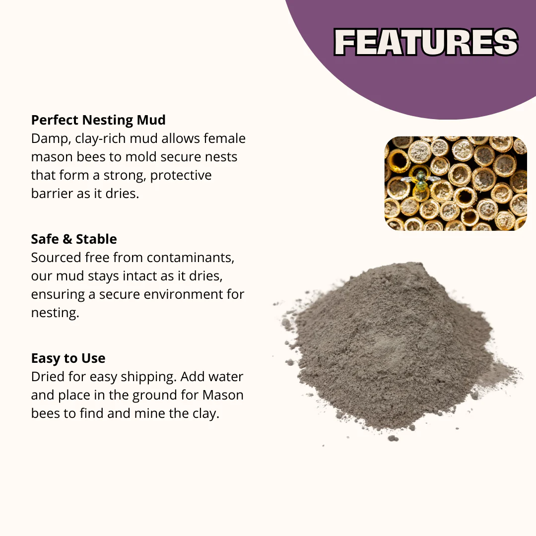 Spring Mason Bee Mud Box - Image 2