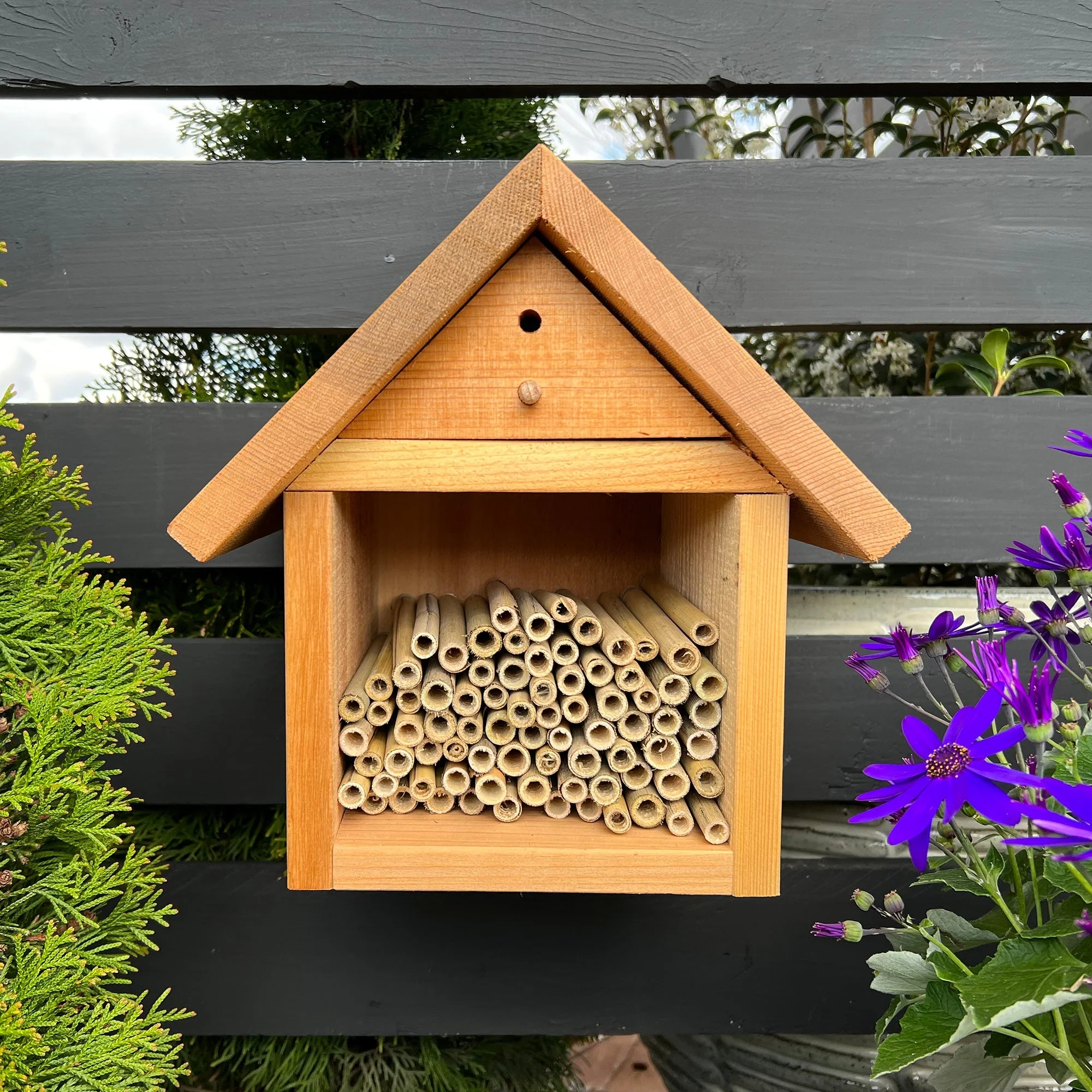 Spring Natural Reeds for Mason Bees - 8mm - Image 8