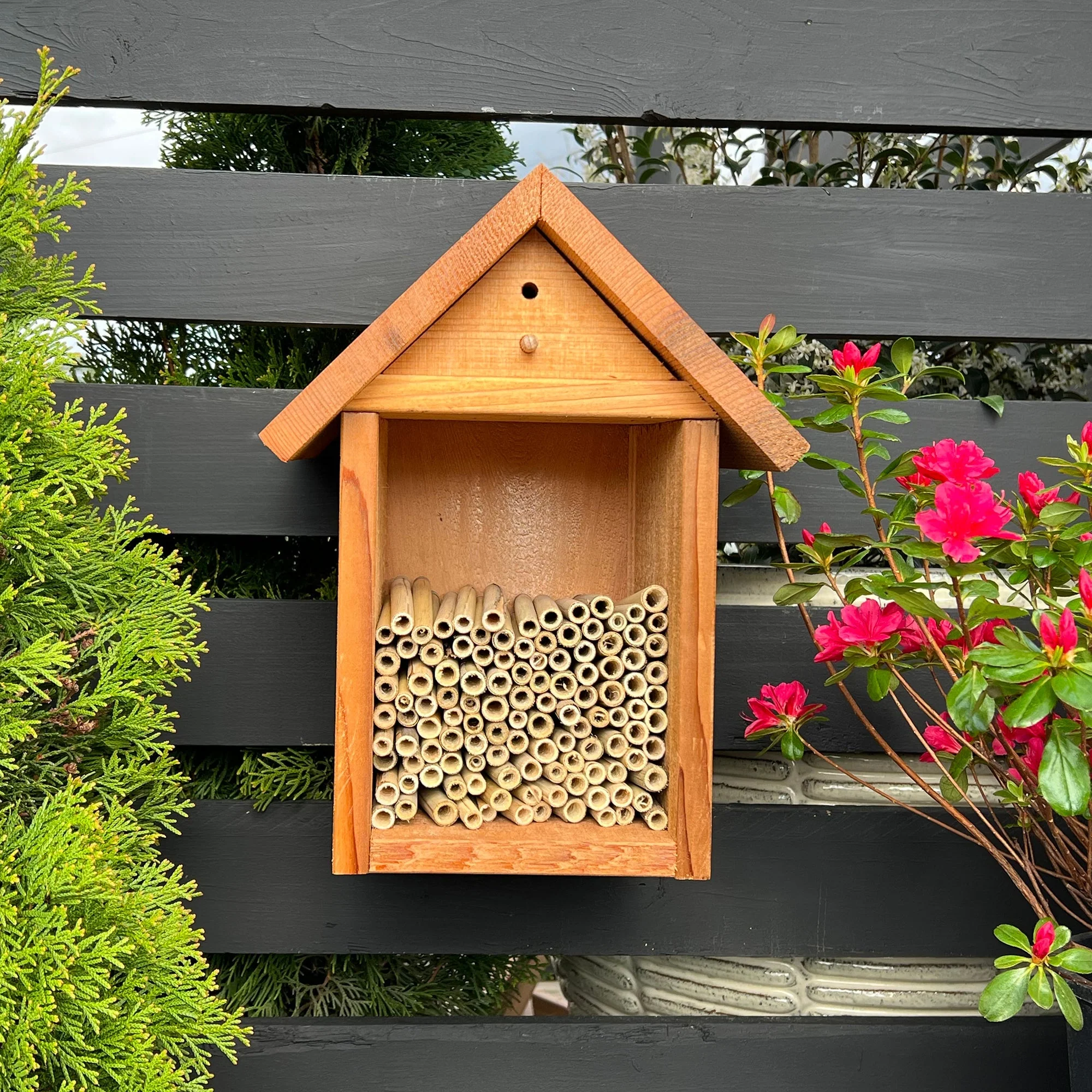 Spring Natural Reeds for Mason Bees - 8mm - Image 9