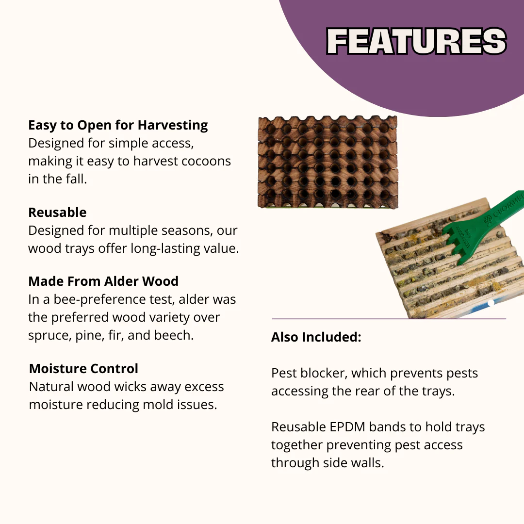 Spring Reusable Wood Trays for Mason Bees - 8mm - Image 3