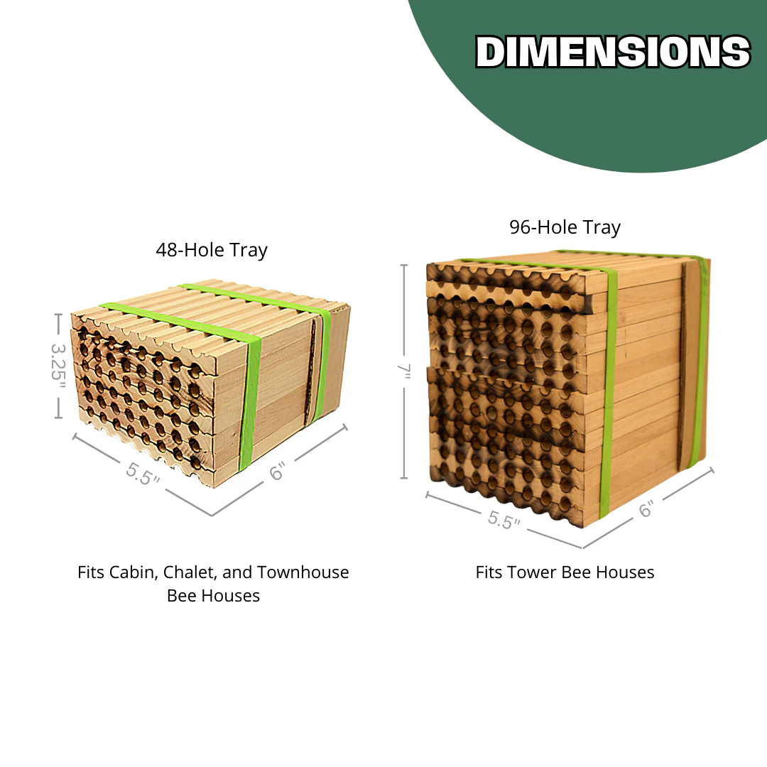Spring Reusable Wood Trays for Mason Bees - 8mm - Image 5