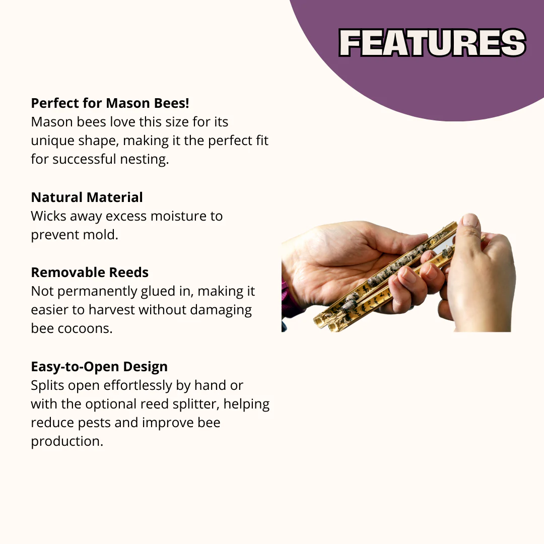 Spring Total Accessories Package for Mason Bees - Image 6