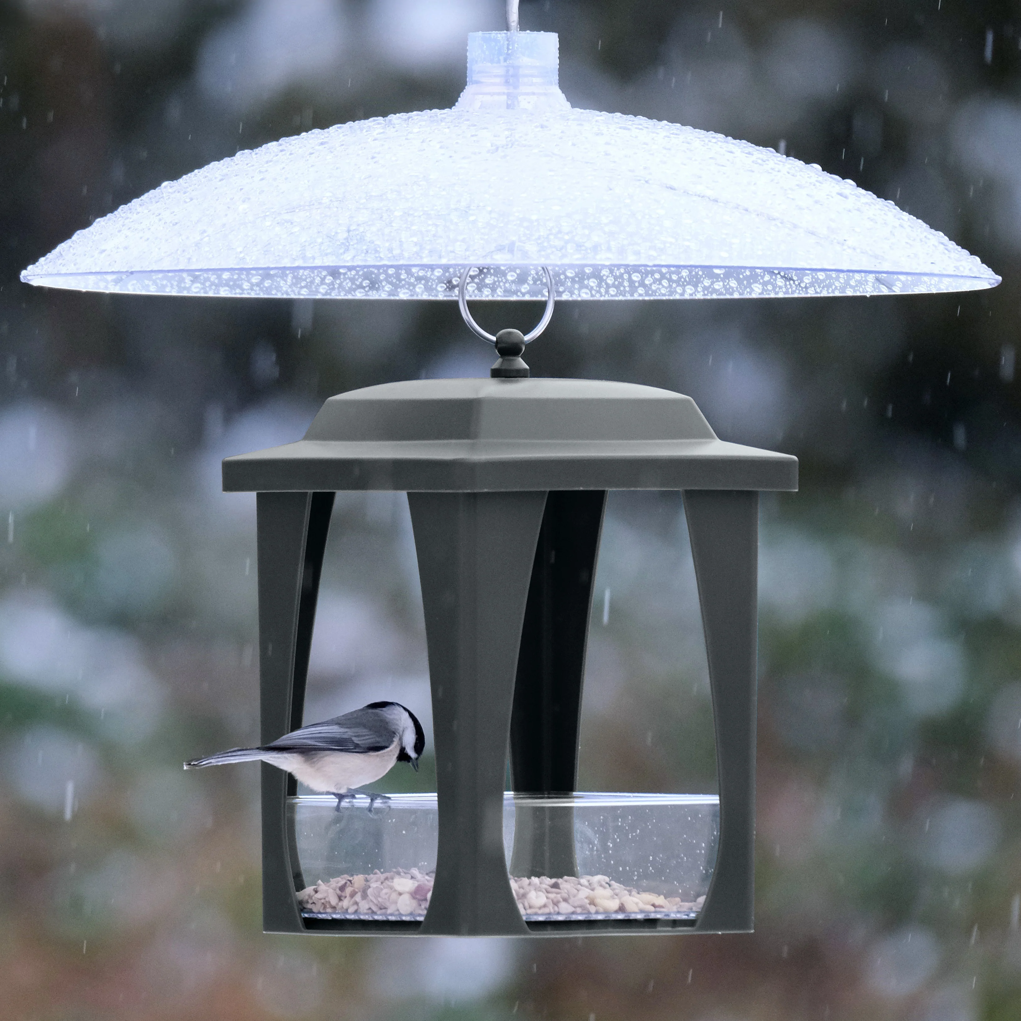 Squirrel Shield Dual-Mount Transparent 16" Squirrel Baffle - Image 10