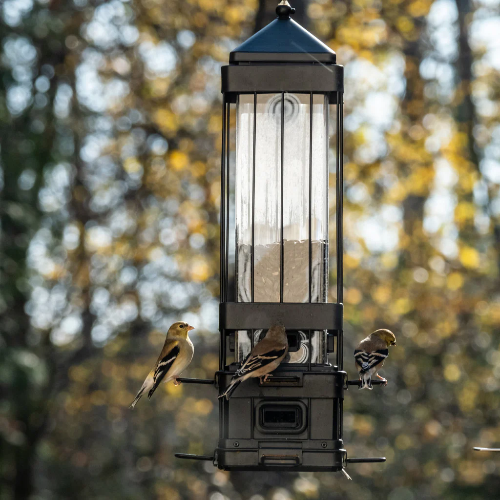Squirrel Shield Advantage Cage Feeder - Image 10