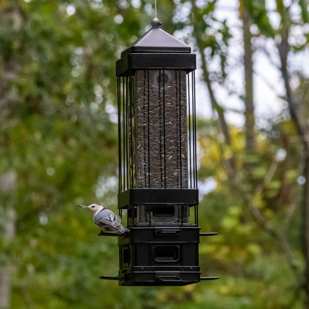 Squirrel Shield Advantage Cage Feeder - Image 9