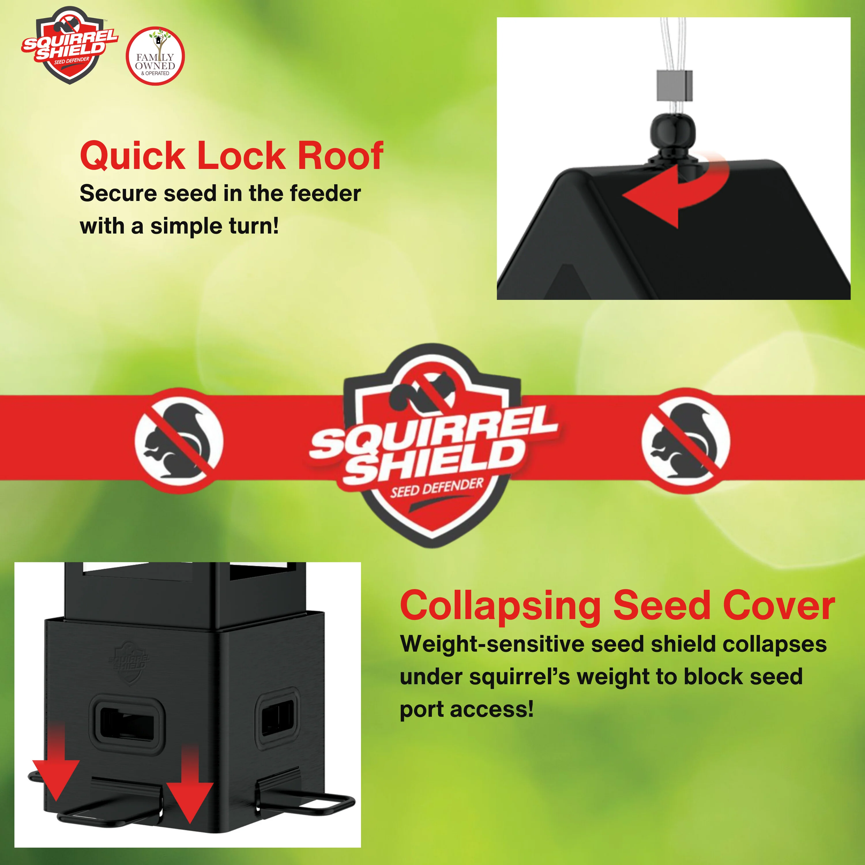 Squirrel Shield Choice Lantern Feeder - Image 4