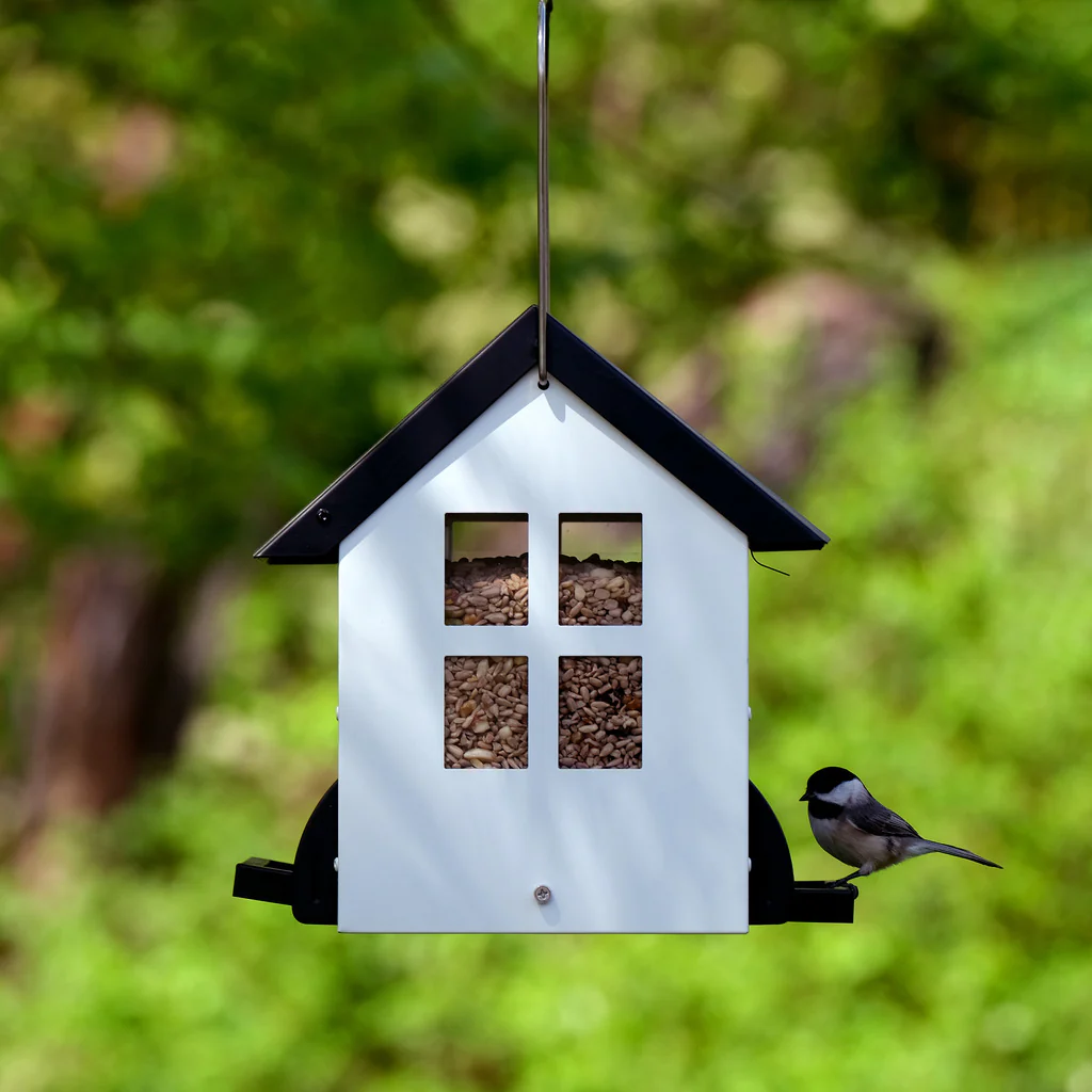 Squirrel Shield Metal Hopper Feeder - Image 7