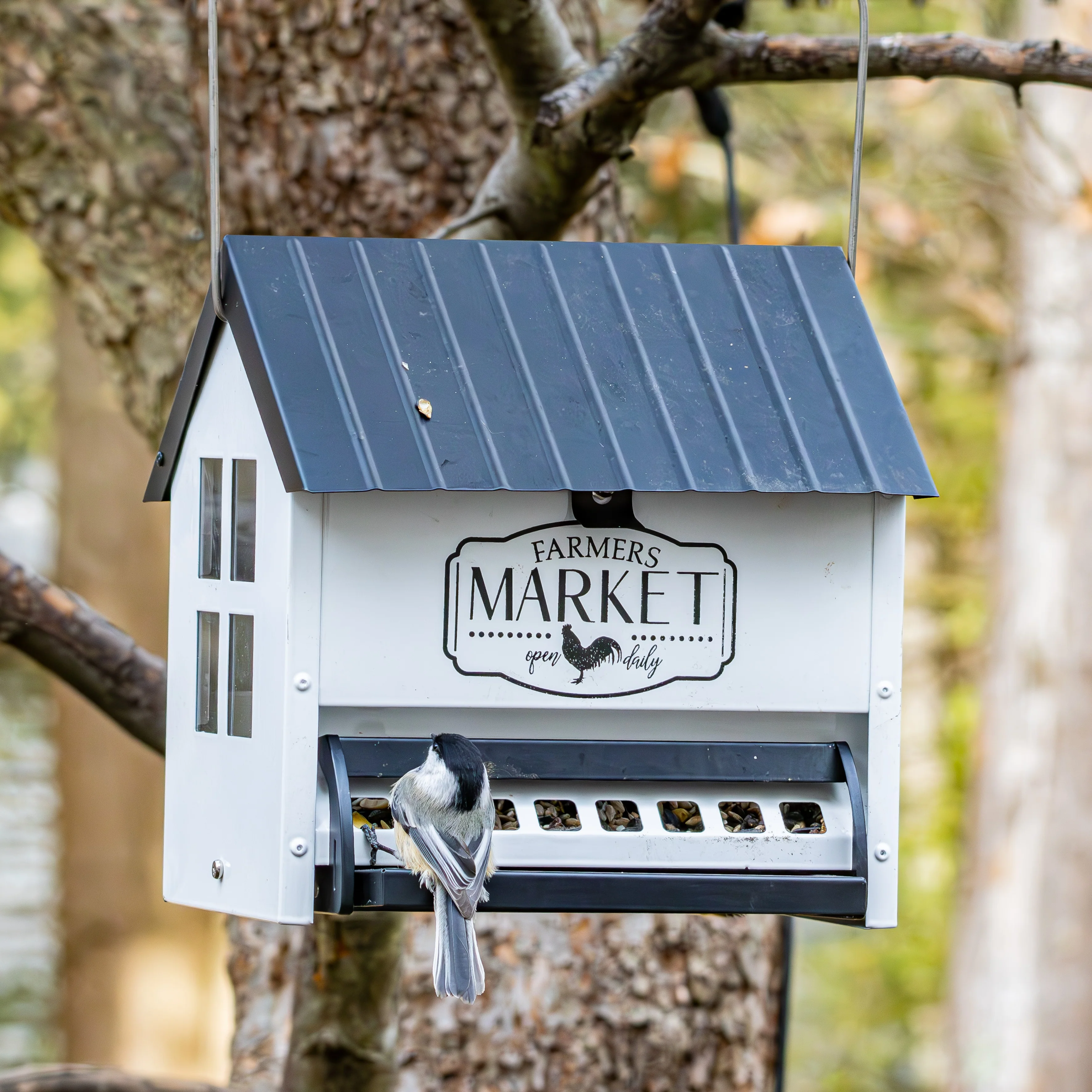 Squirrel Shield Metal Hopper Feeder - Image 8