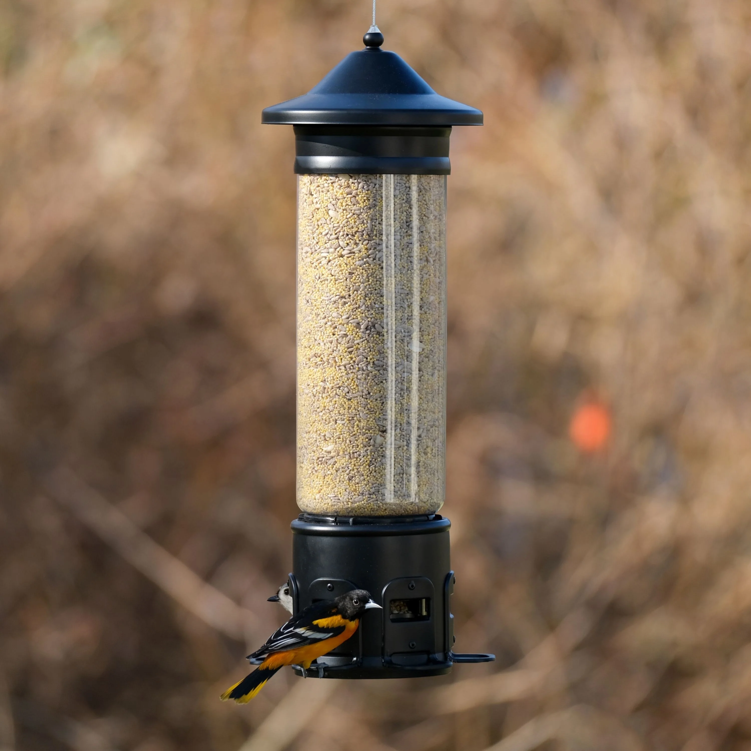 Squirrel Shield Pro Tube Feeder - Image 7