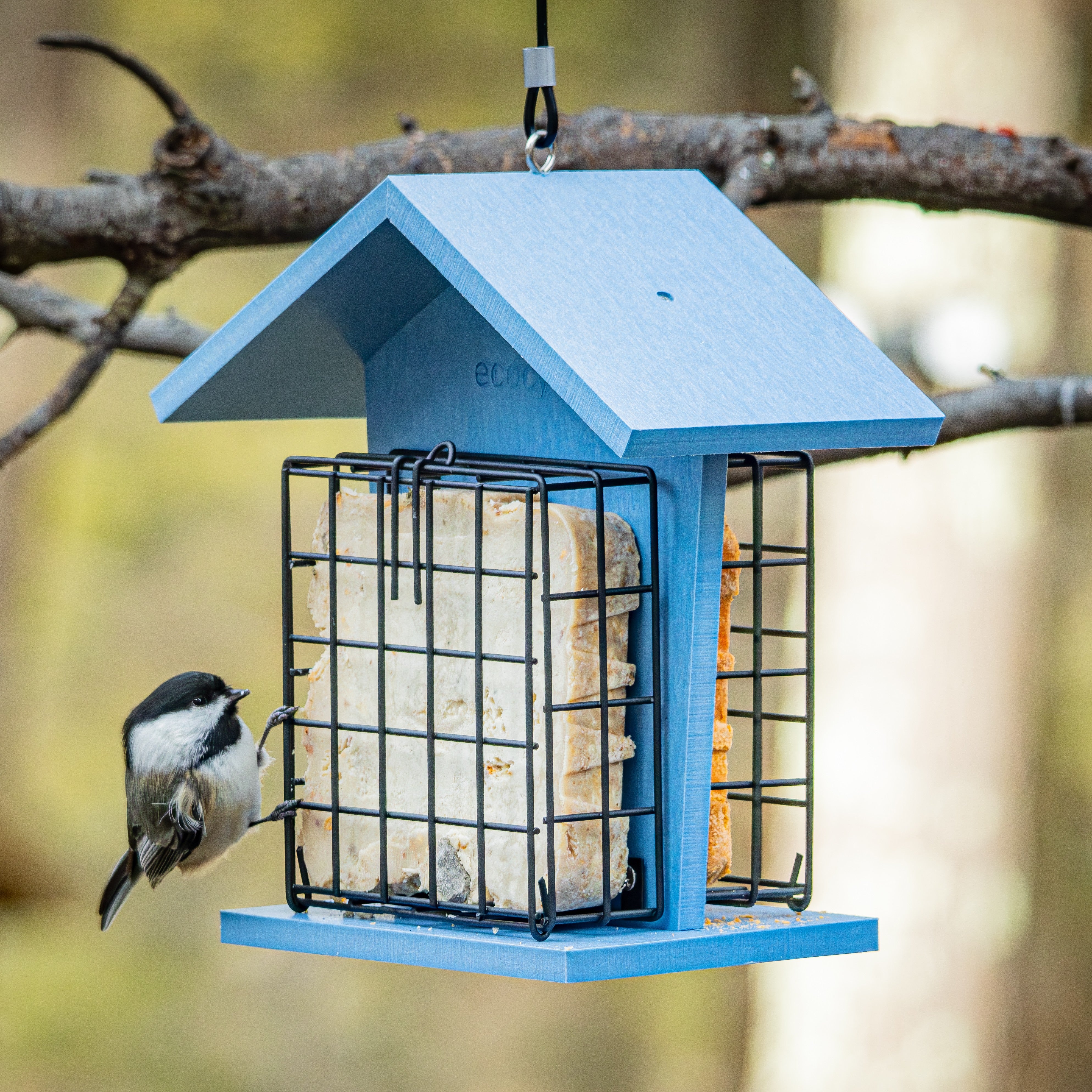 Suet Snacker Recycled Plastic Bird Feeder - Image 10