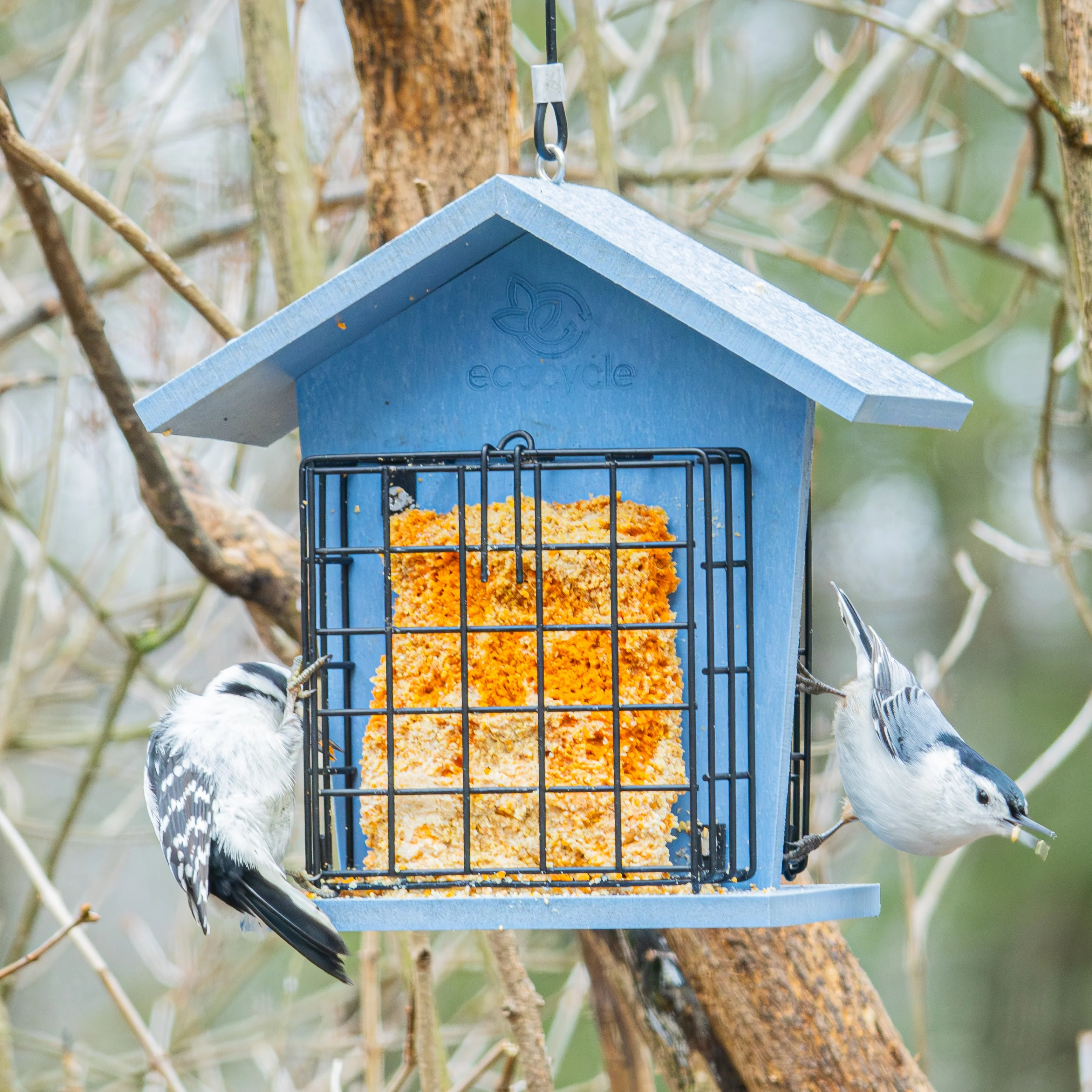 Suet Snacker Recycled Plastic Bird Feeder - Image 11