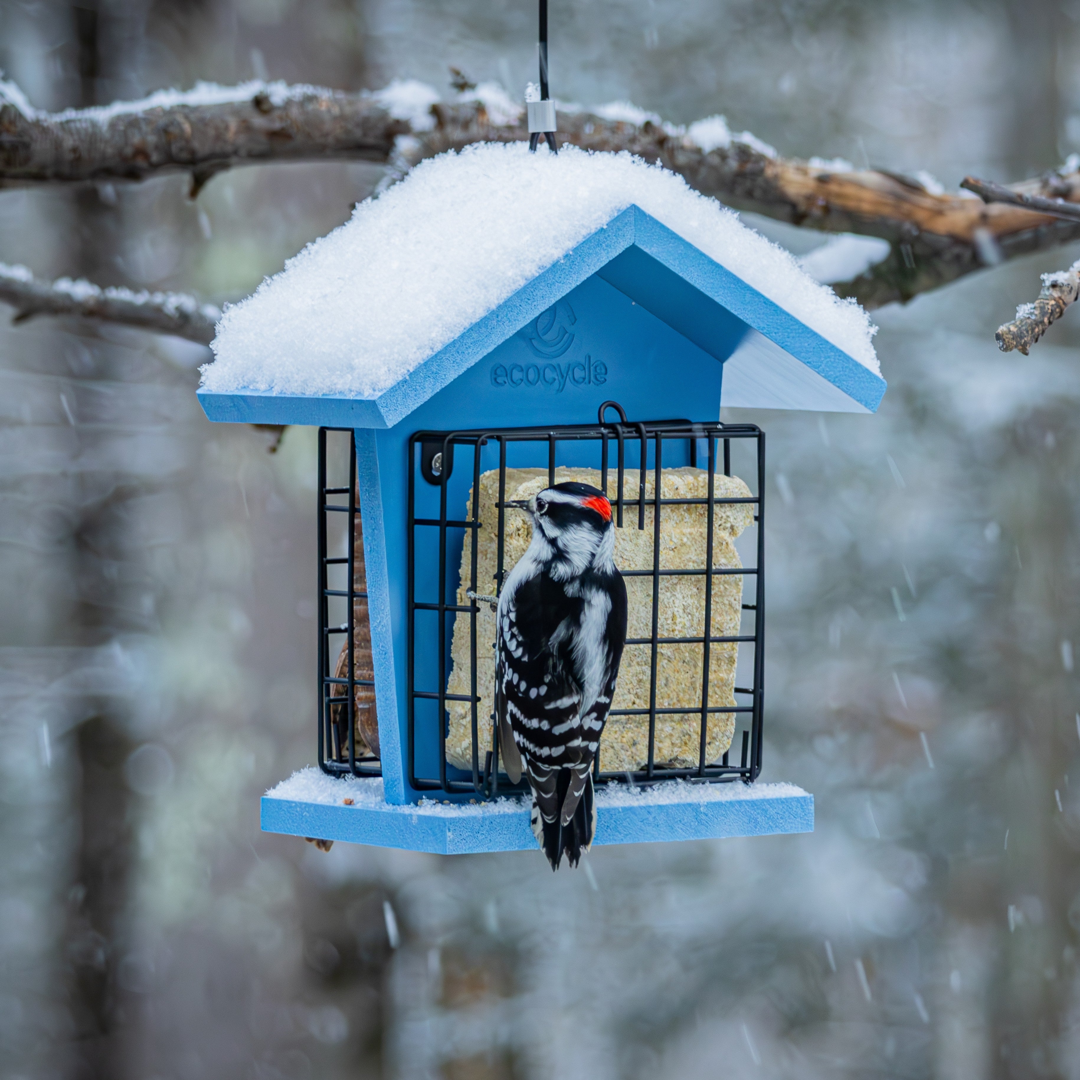 Suet Snacker Recycled Plastic Bird Feeder - Image 8