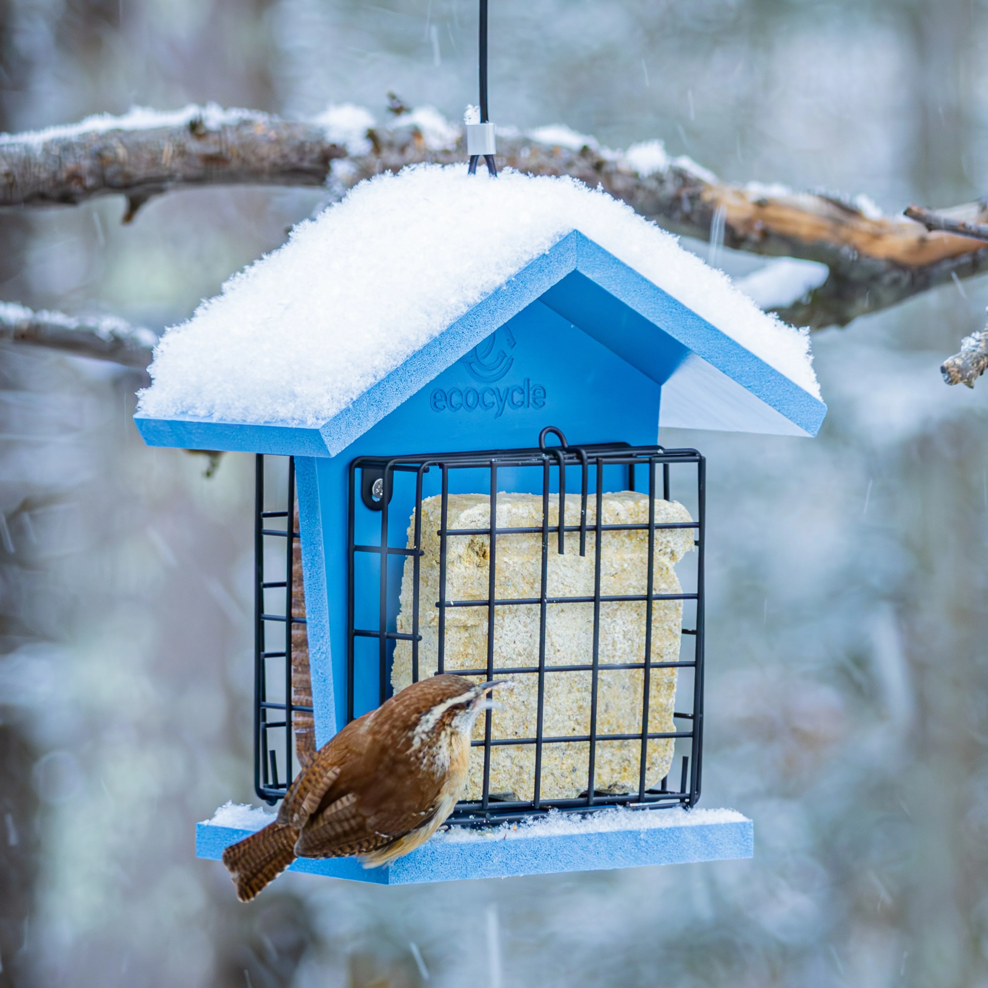 Suet Snacker Recycled Plastic Bird Feeder - Image 9