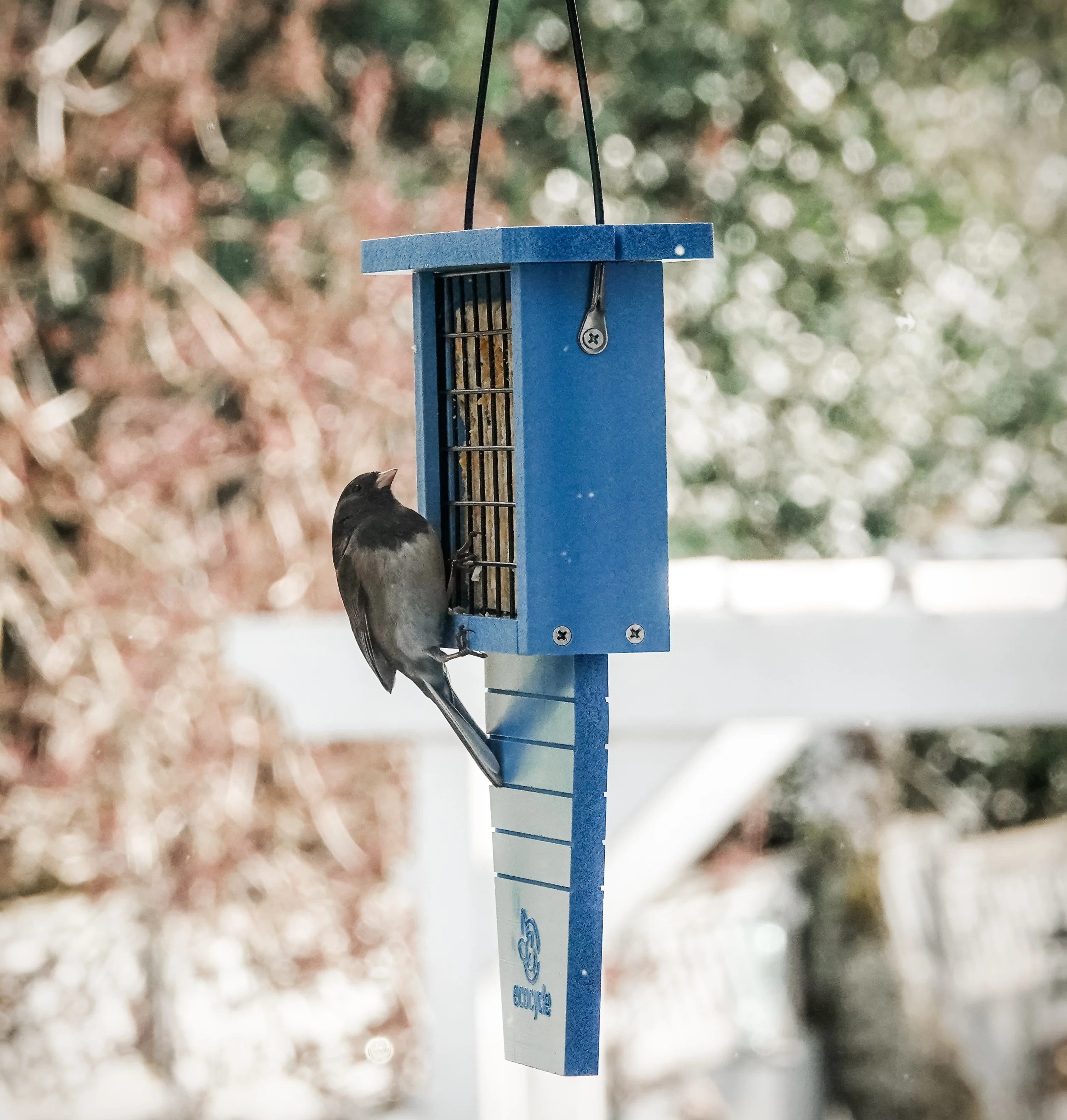 Suet Station Recycled Plastic Tail-prop Bird Feeder - Image 8