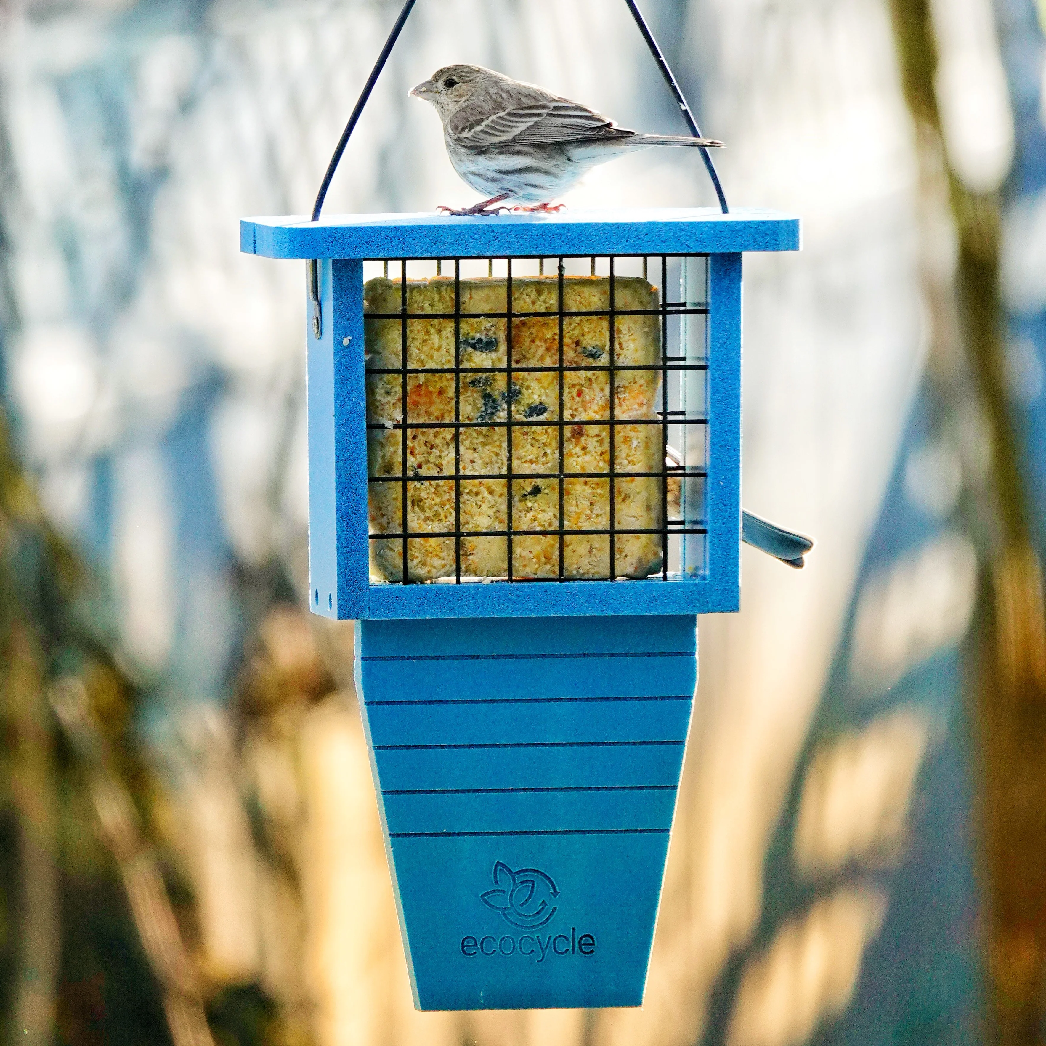 Suet Station Recycled Plastic Tail-prop Bird Feeder - Image 9