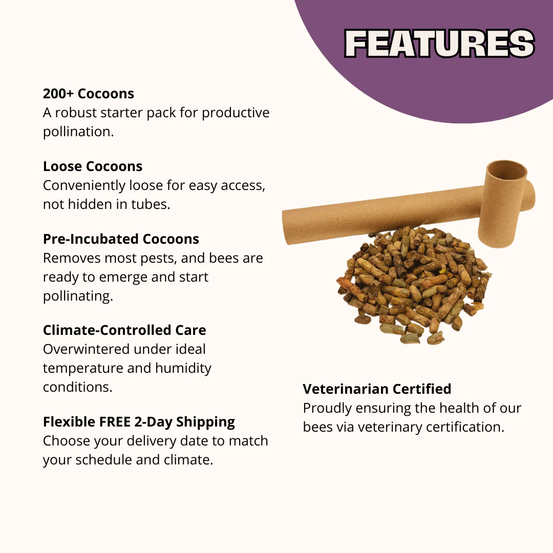 Summer Leaf Bees - (200ct) Free FedEx 2-Day Mail - Image 3