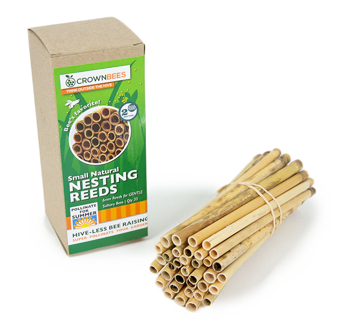 Summer Natural Reeds for Summer Leaf Bees - 6mm