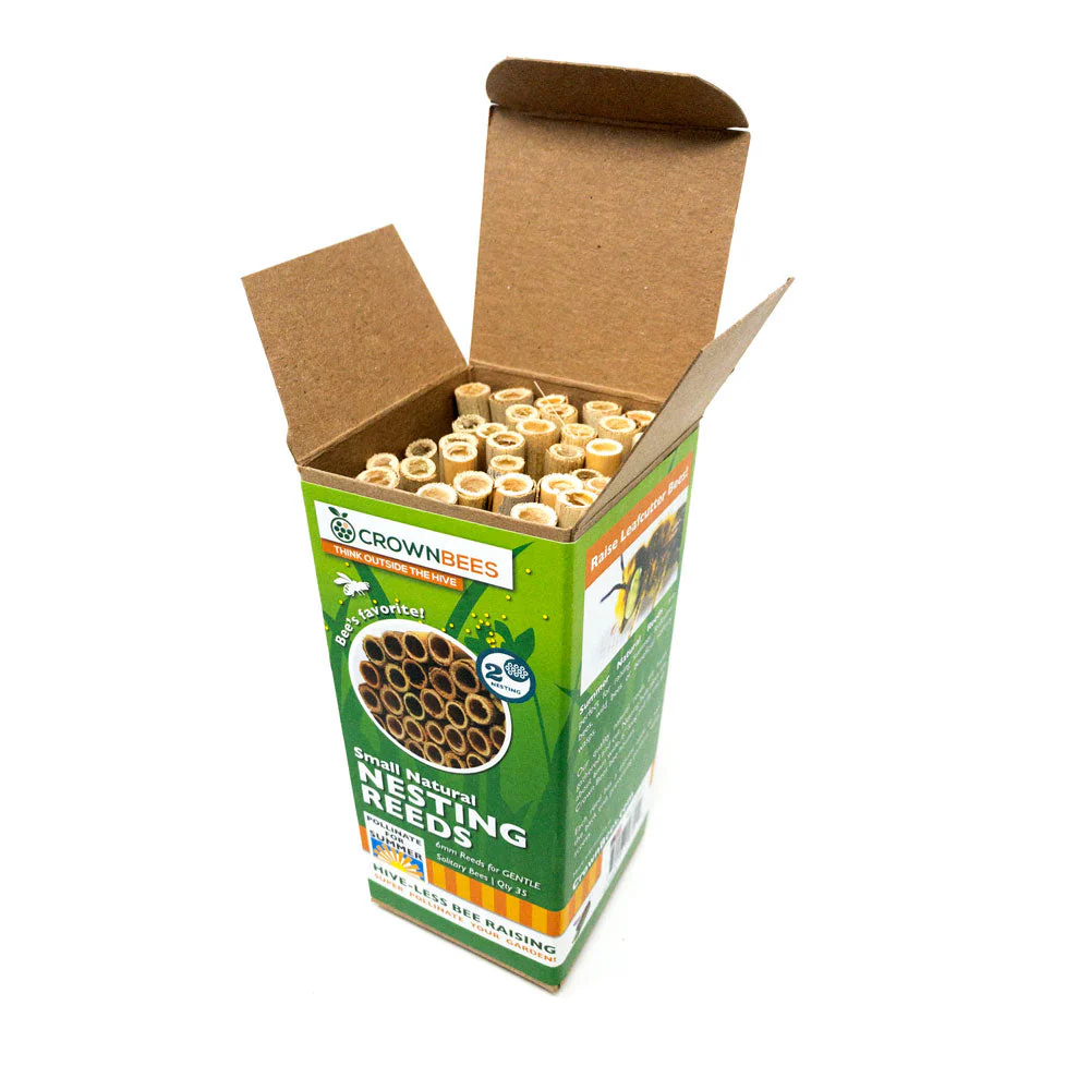 Summer Natural Reeds for Summer Leaf Bees - 6mm - Image 2