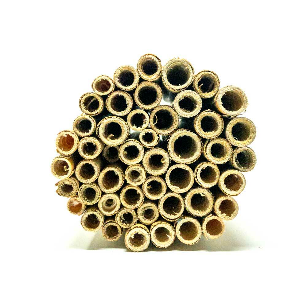 Summer Natural Reeds for Summer Leaf Bees - 6mm - Image 6