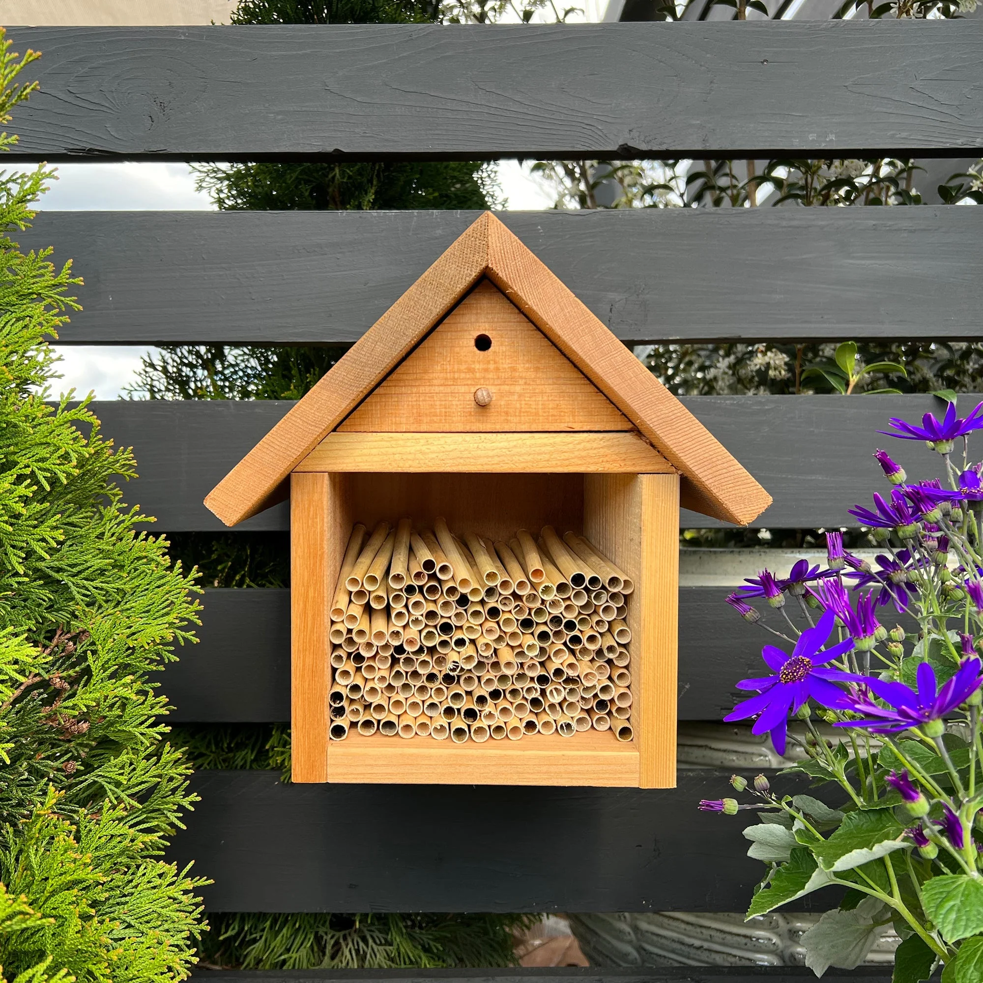 Summer Natural Reeds for Summer Leaf Bees - 6mm - Image 9