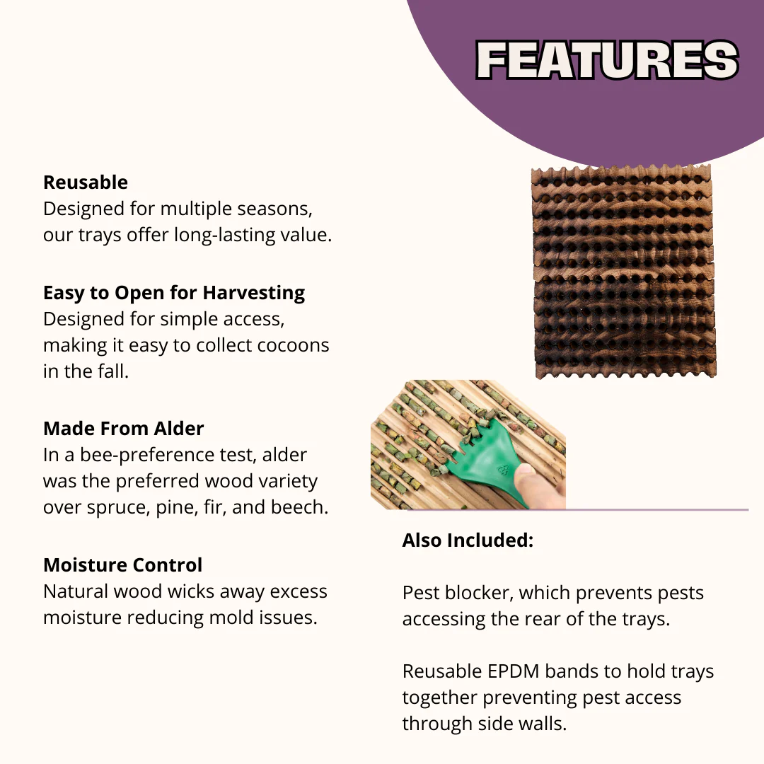 Summer Reusable Wood Trays for Summer Leaf Bees - Image 3