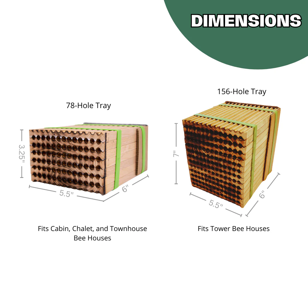 Summer Reusable Wood Trays for Summer Leaf Bees - Image 4
