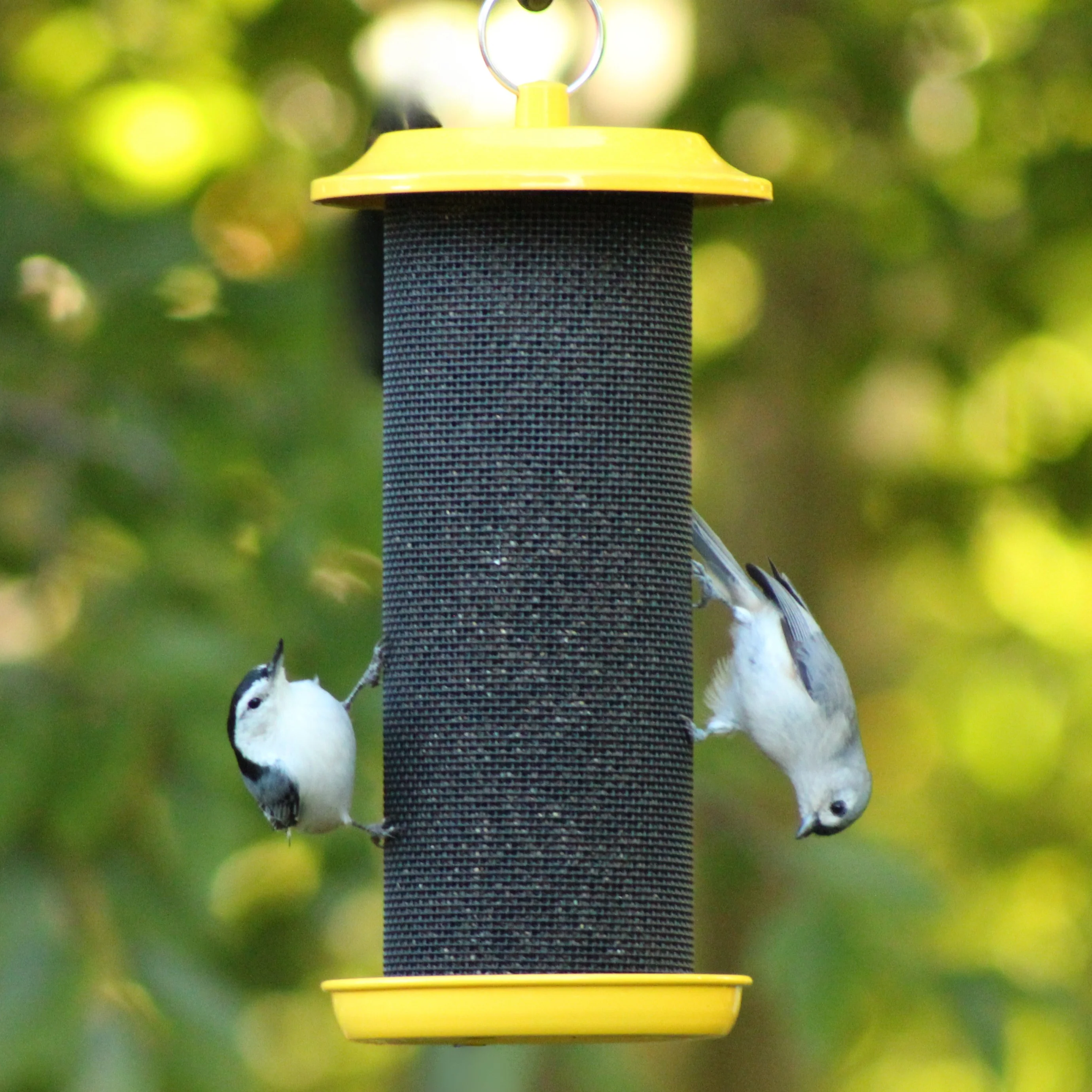 Sunglow Metal Mesh Thistle Bird Feeder