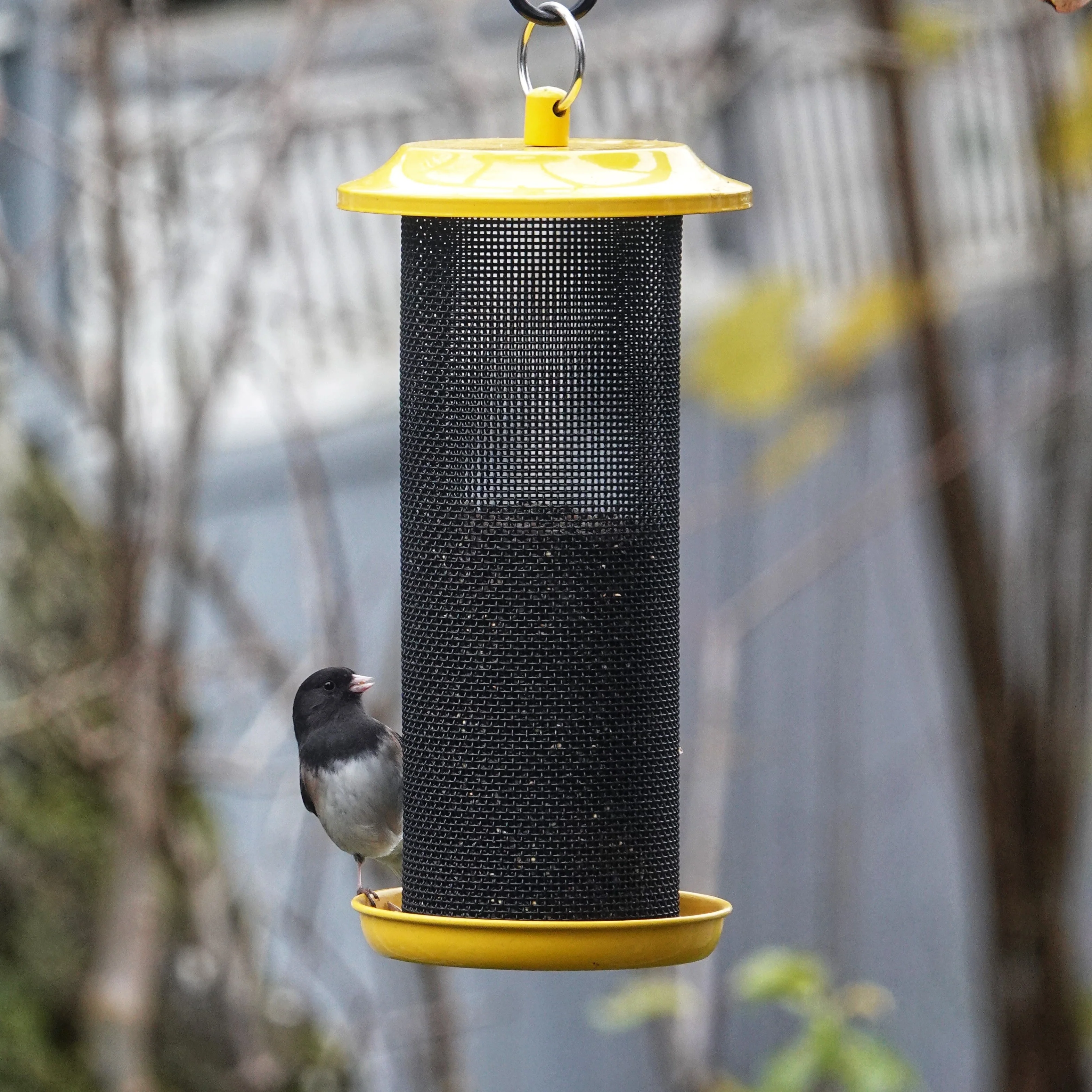Sunglow Metal Mesh Thistle Bird Feeder - Image 10