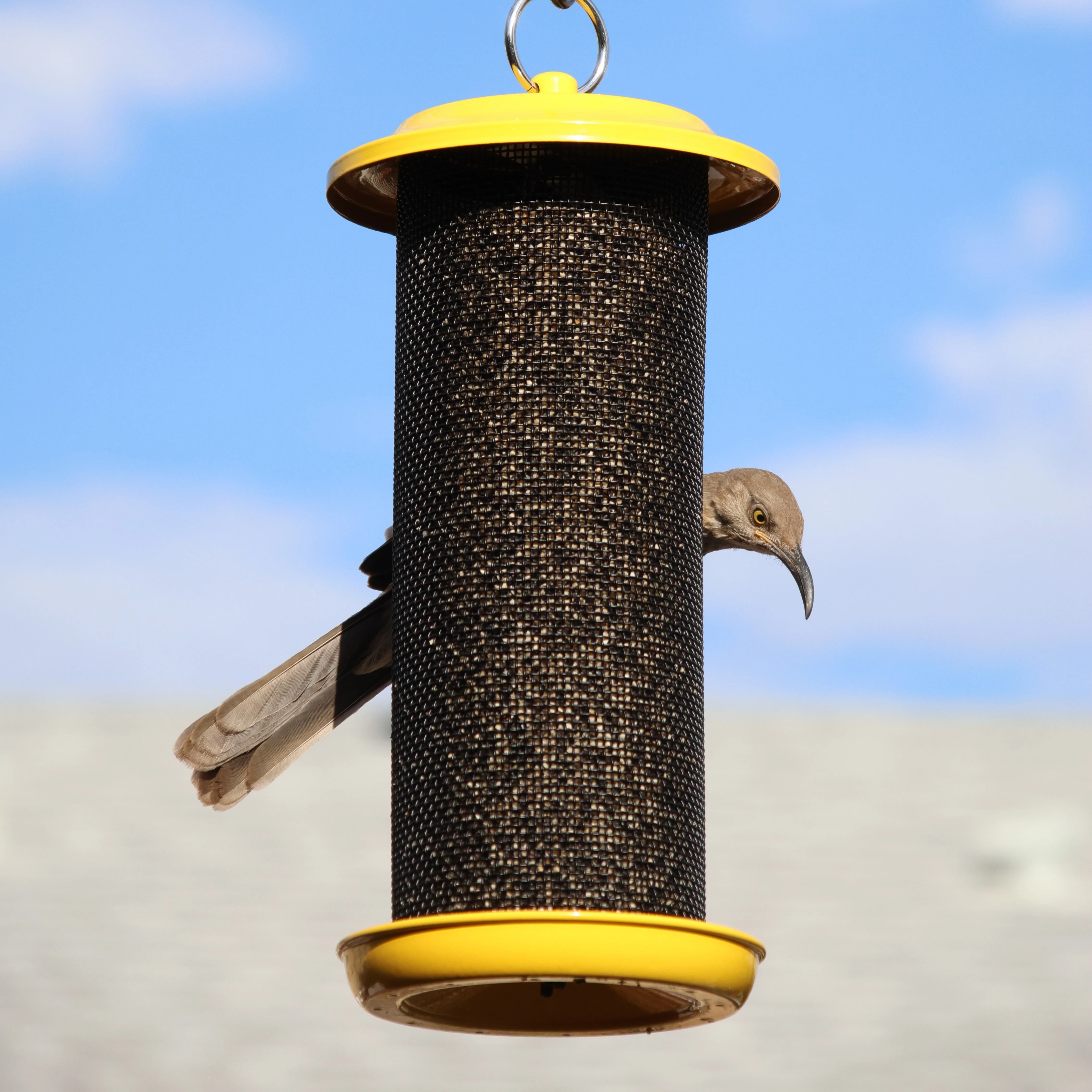 Sunglow Metal Mesh Thistle Bird Feeder - Image 11