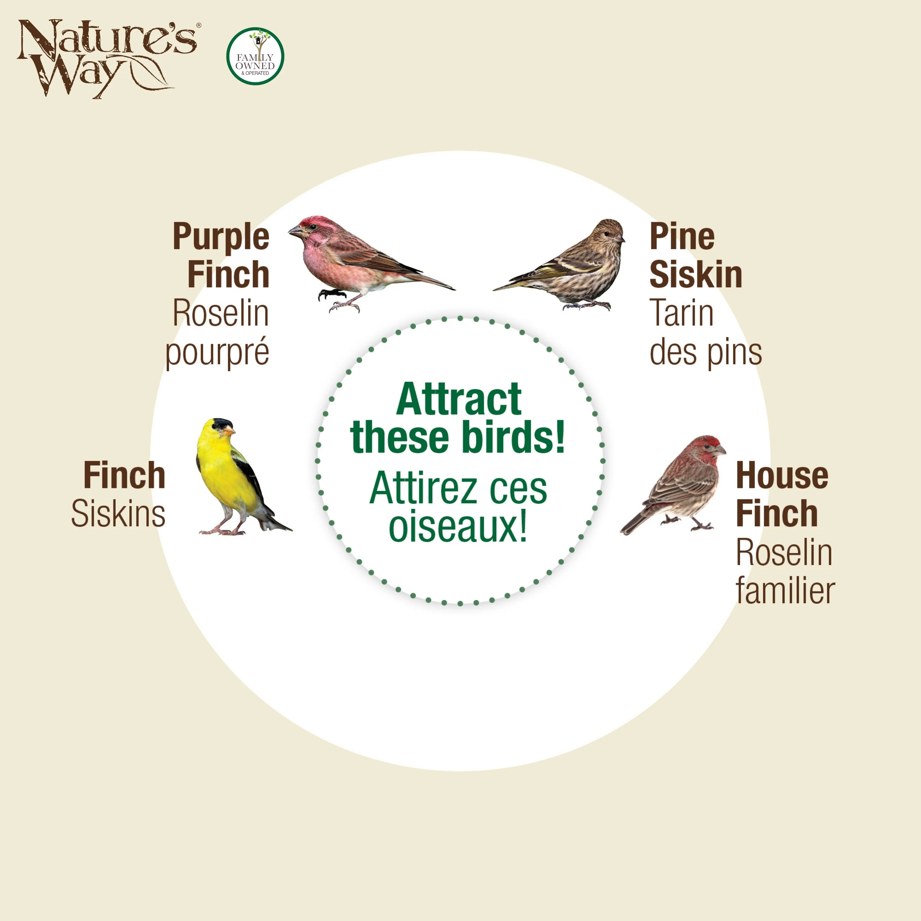 Sunglow Metal Mesh Thistle Bird Feeder - Image 5