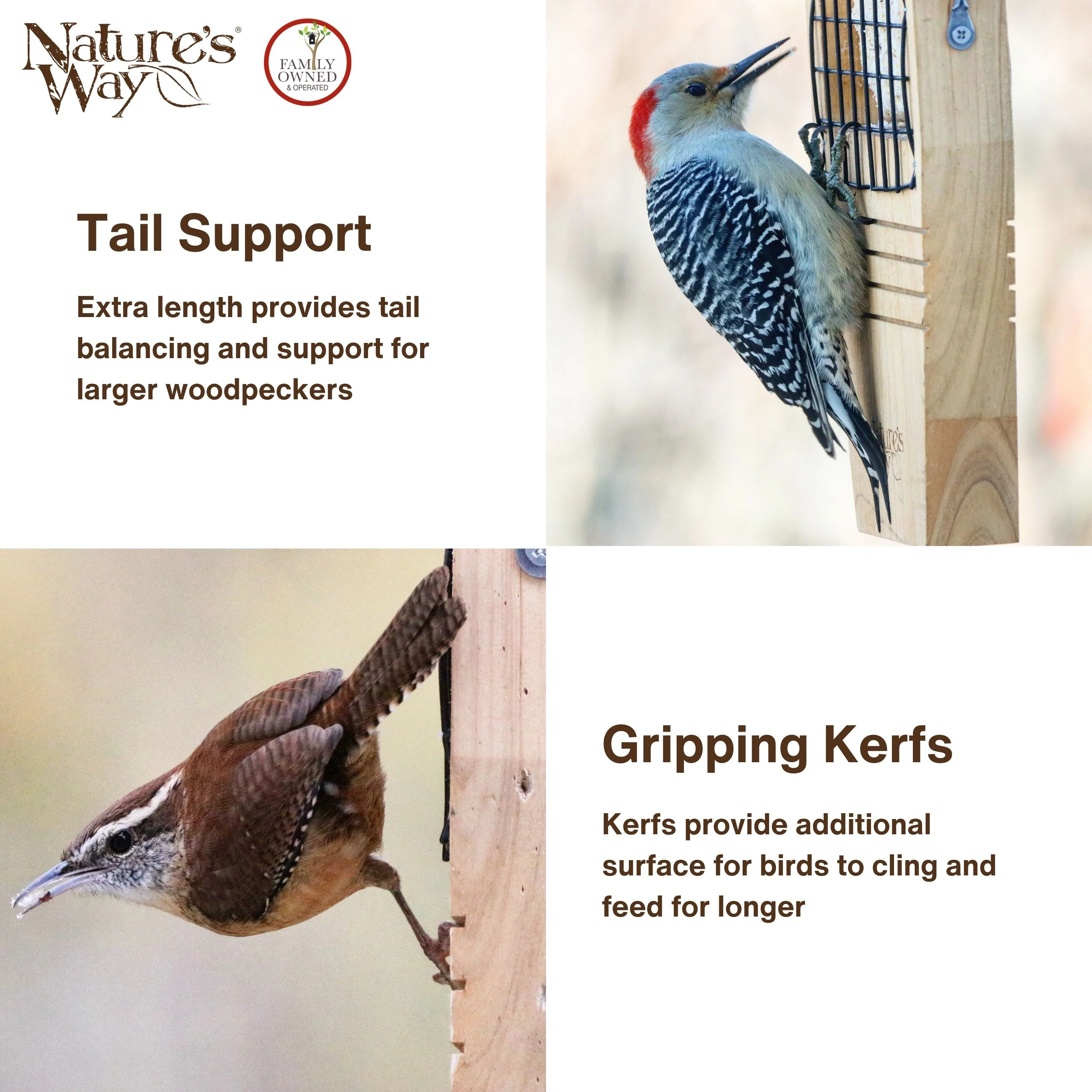 Cedar Tail-Prop Suet Feeder - Image 4