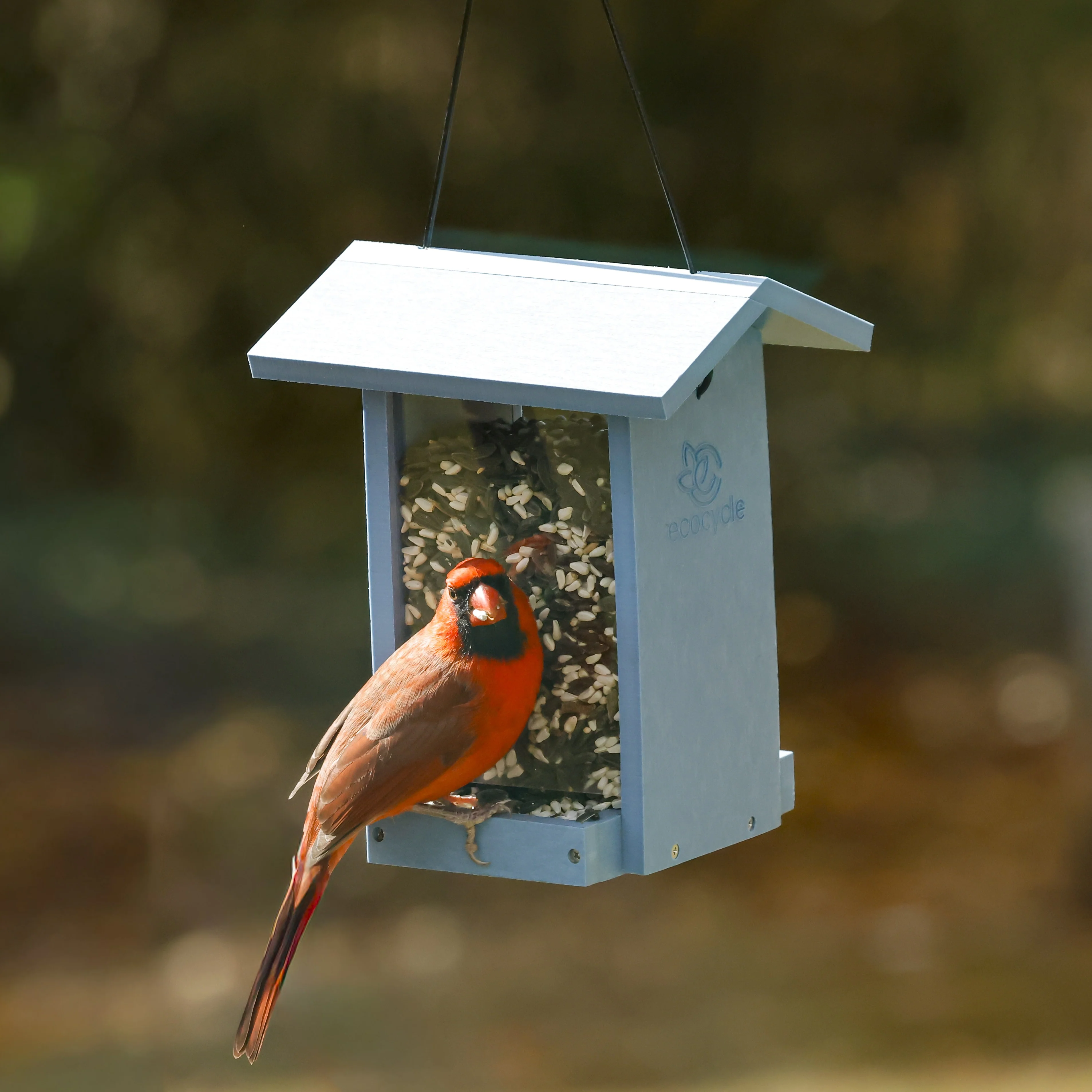 Tasty Tidbit Recycled Plastic Bird Feeder - Image 7