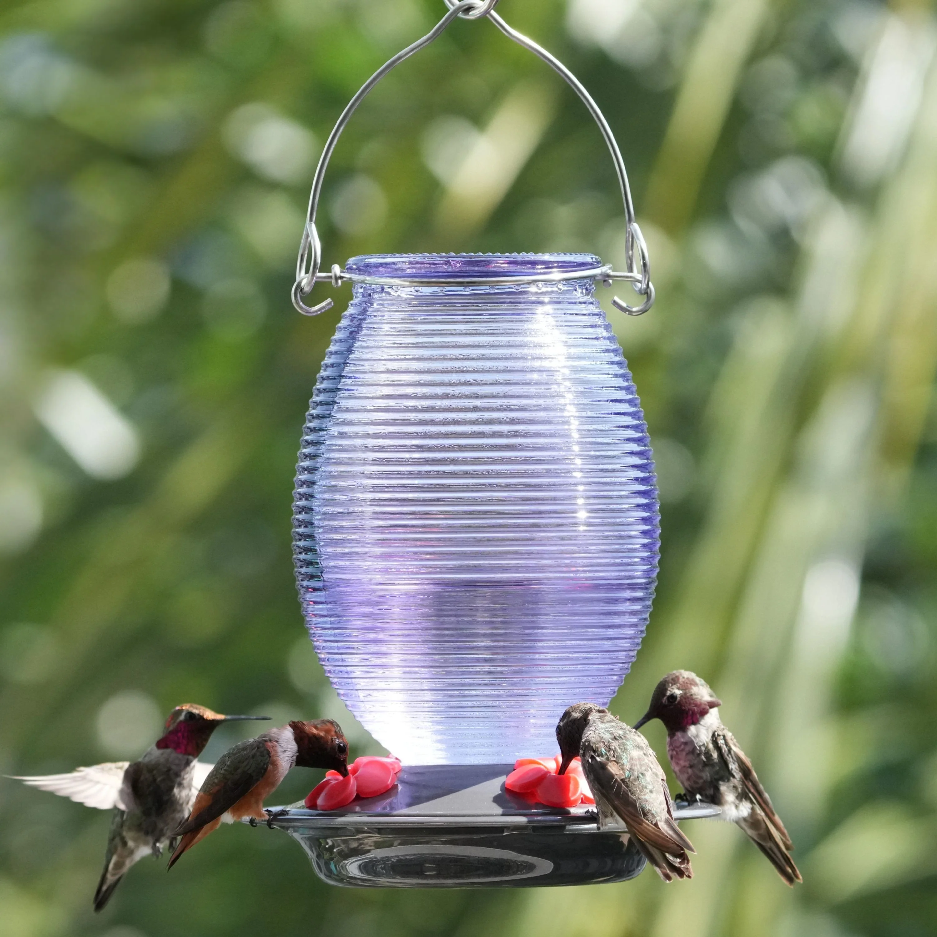 Twilight Dreams Antique Hummingbird Gravity Feeder - Image 8