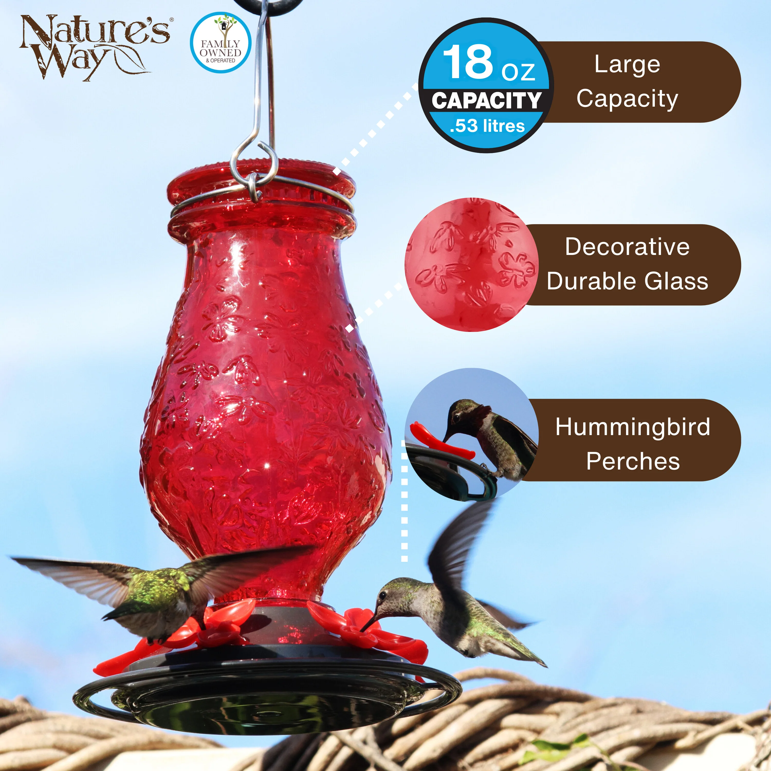 Vintage Charm Embossed Glass Hummingbird Feeder - Image 3