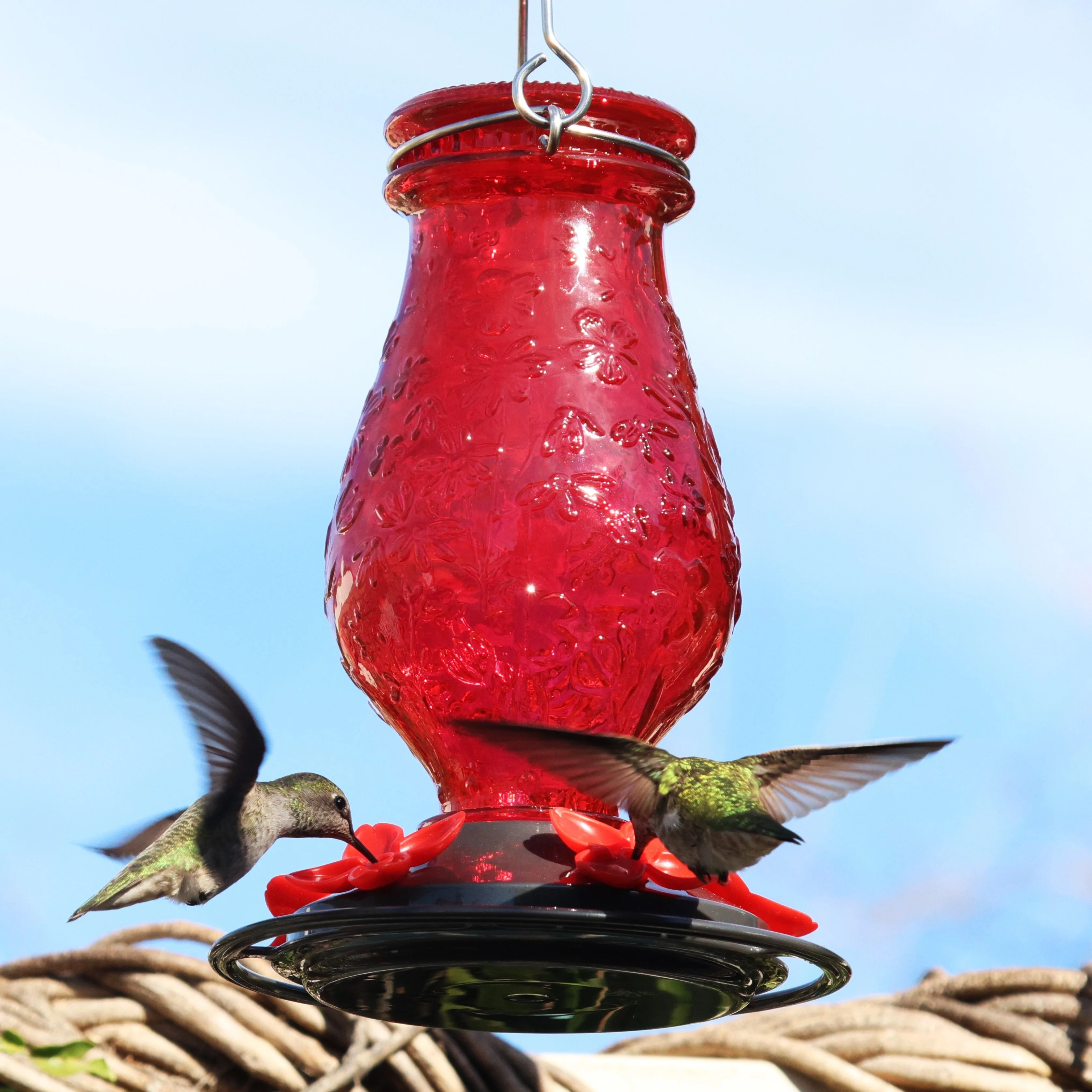 Vintage Charm Embossed Glass Hummingbird Feeder - Image 7