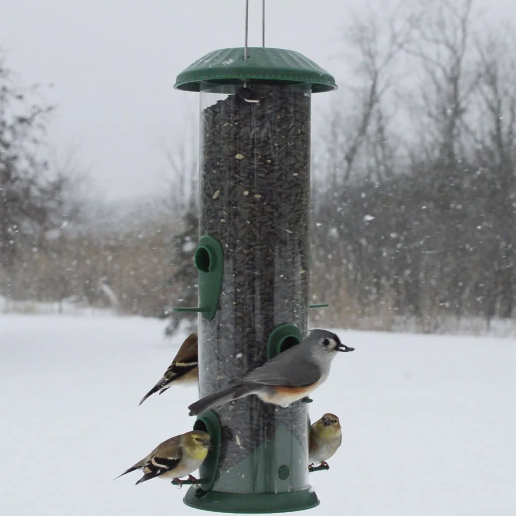 Wide Easy Clean Tube Feeder - Image 6